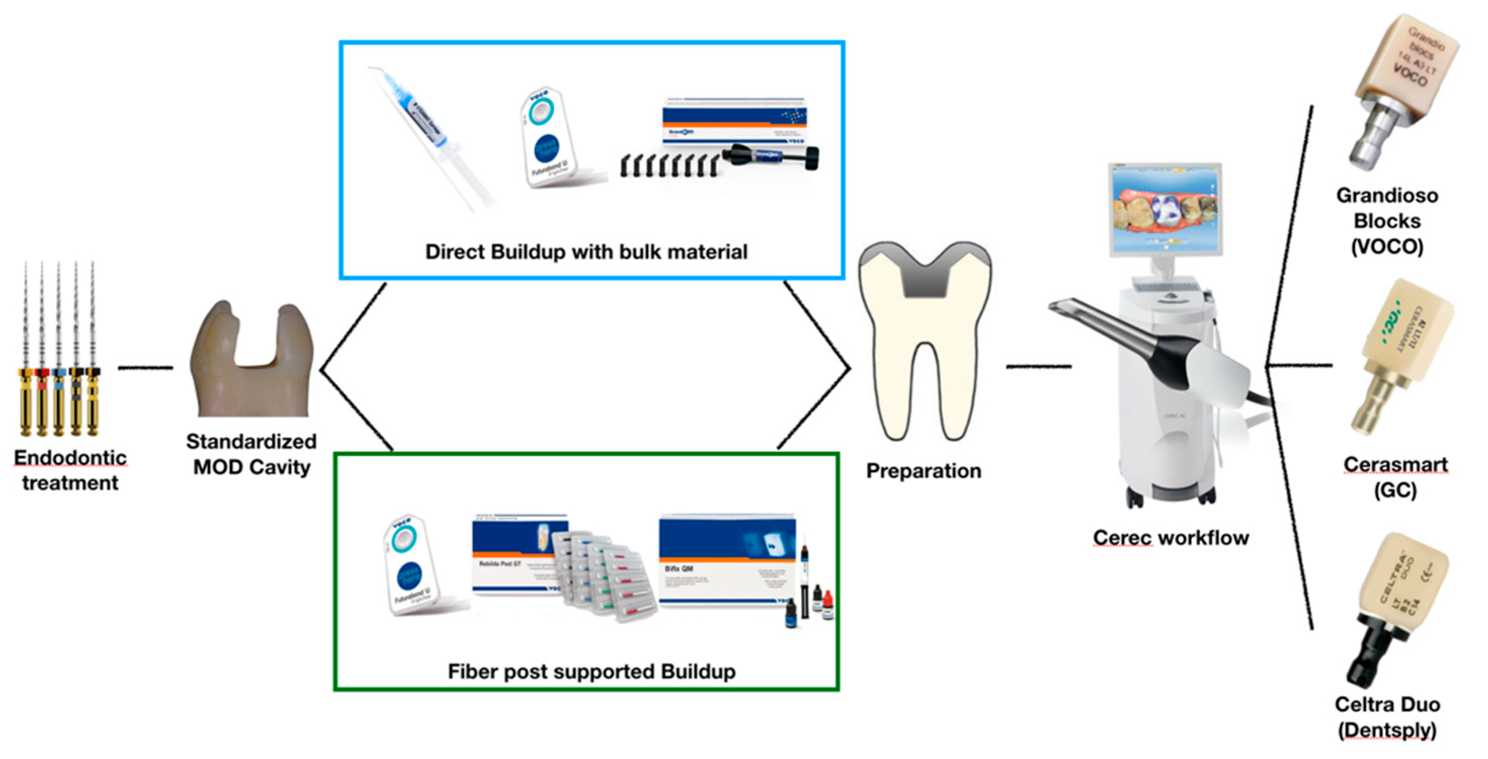 Polymers 13 03002 g001