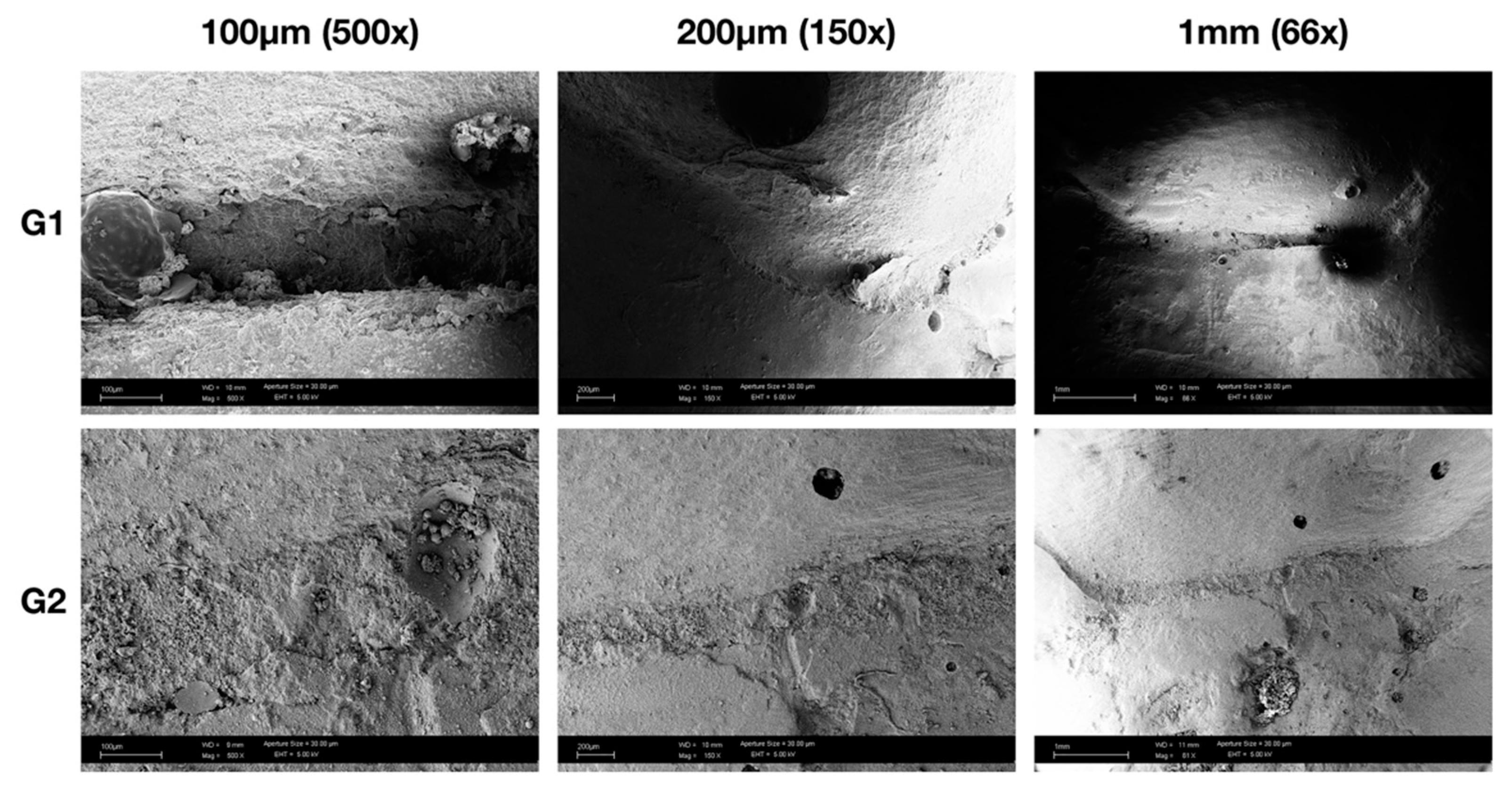Polymers 13 03002 g003