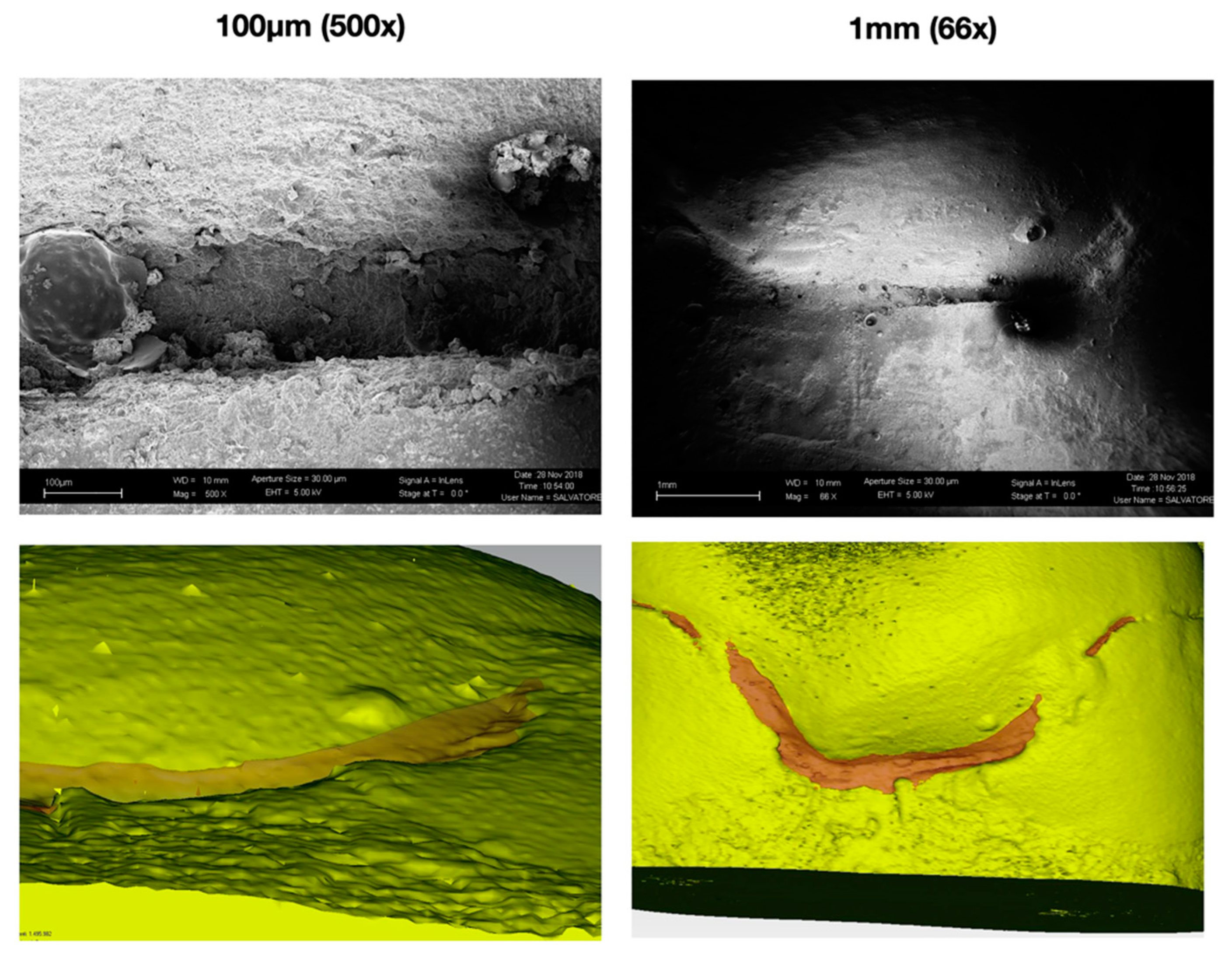 Polymers 13 03002 g004