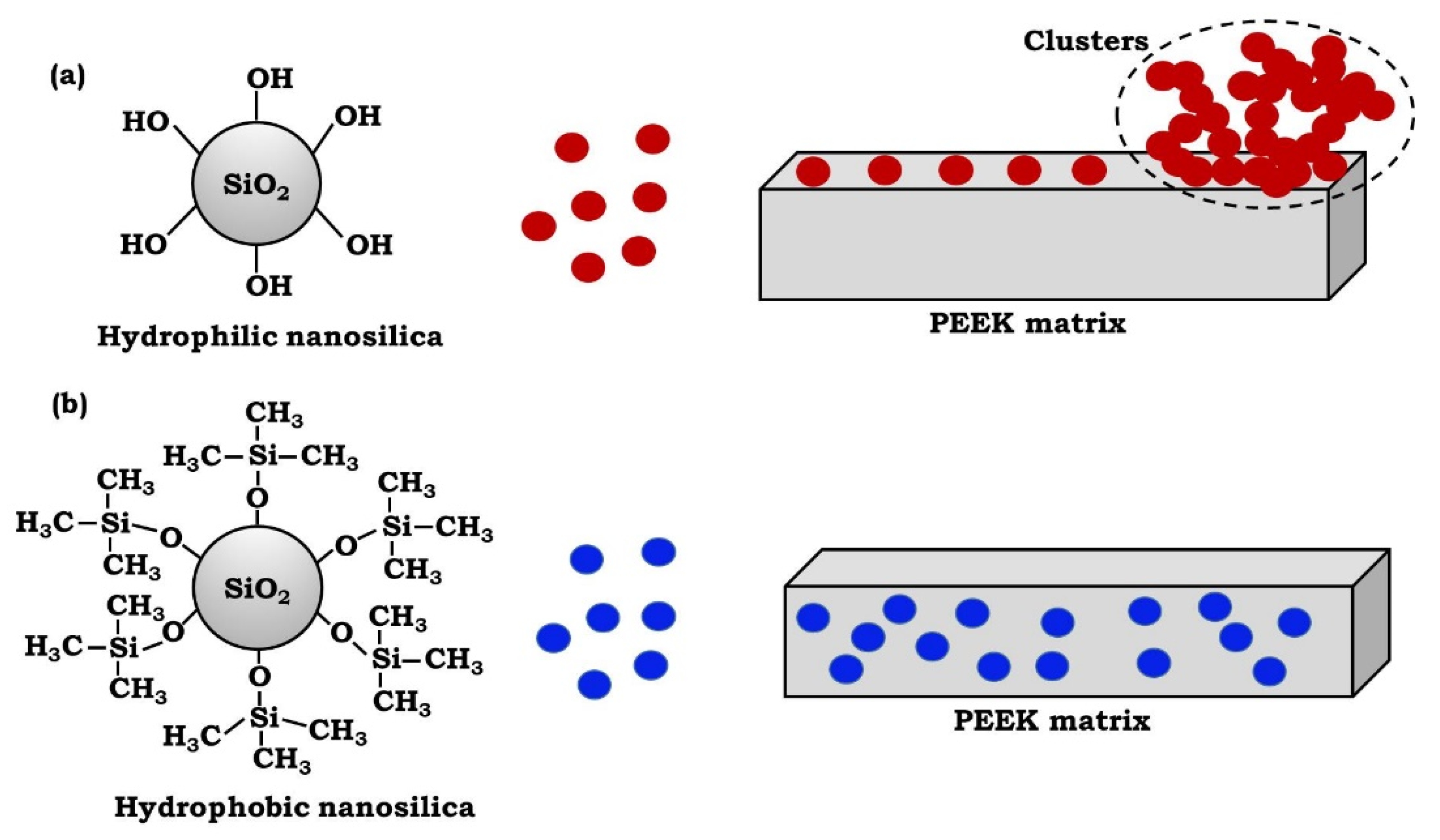 Polymers 13 03006 g004