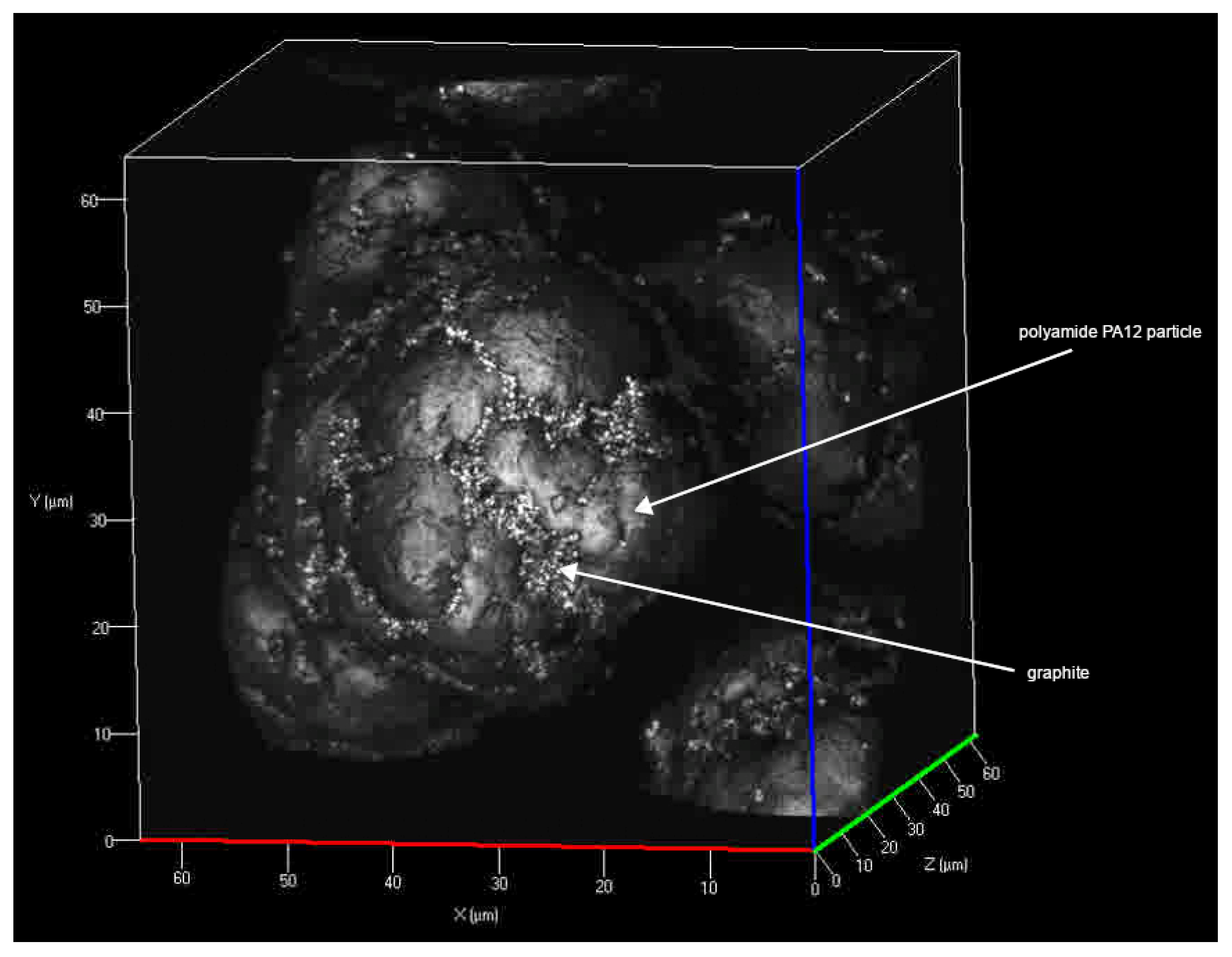 Polymers 13 03014 g001