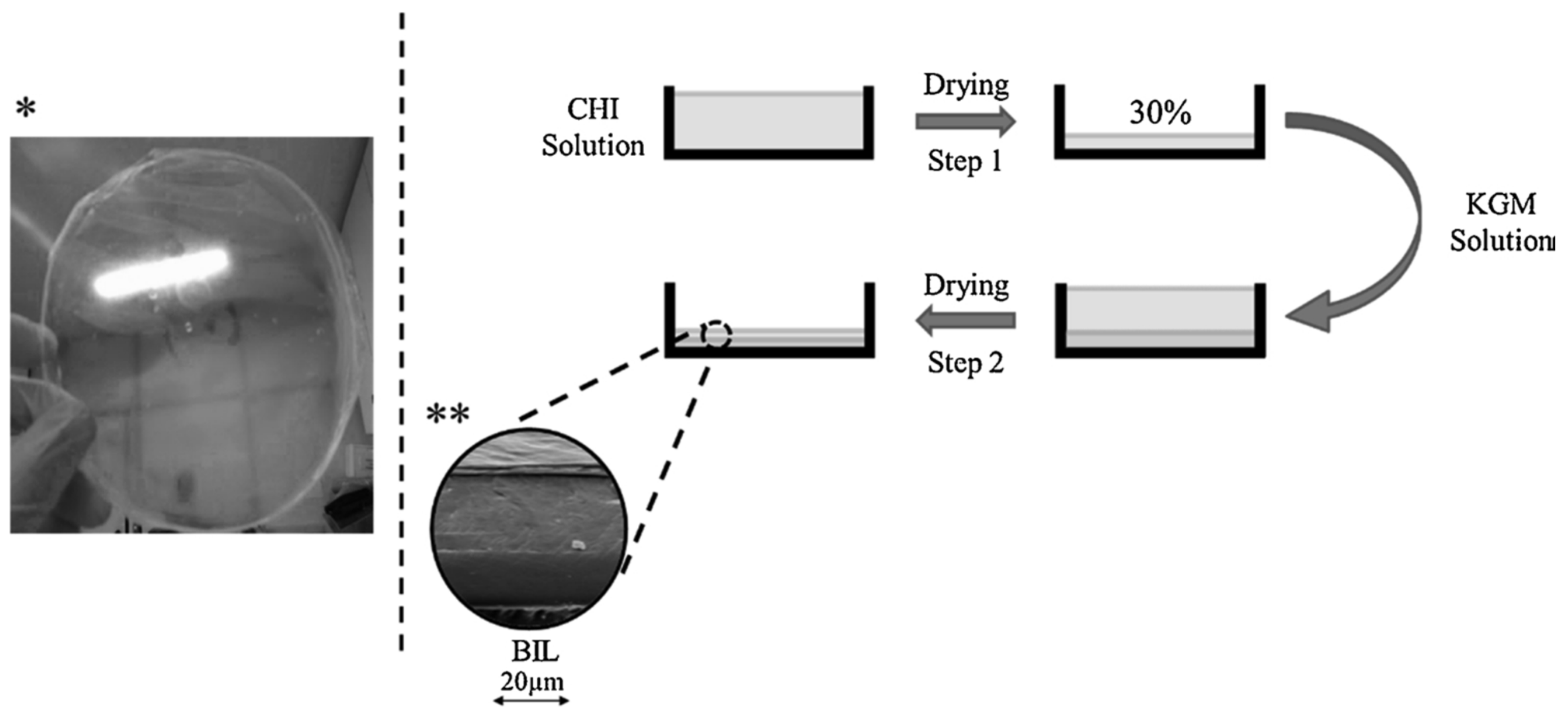 Polymers 13 03015 g004