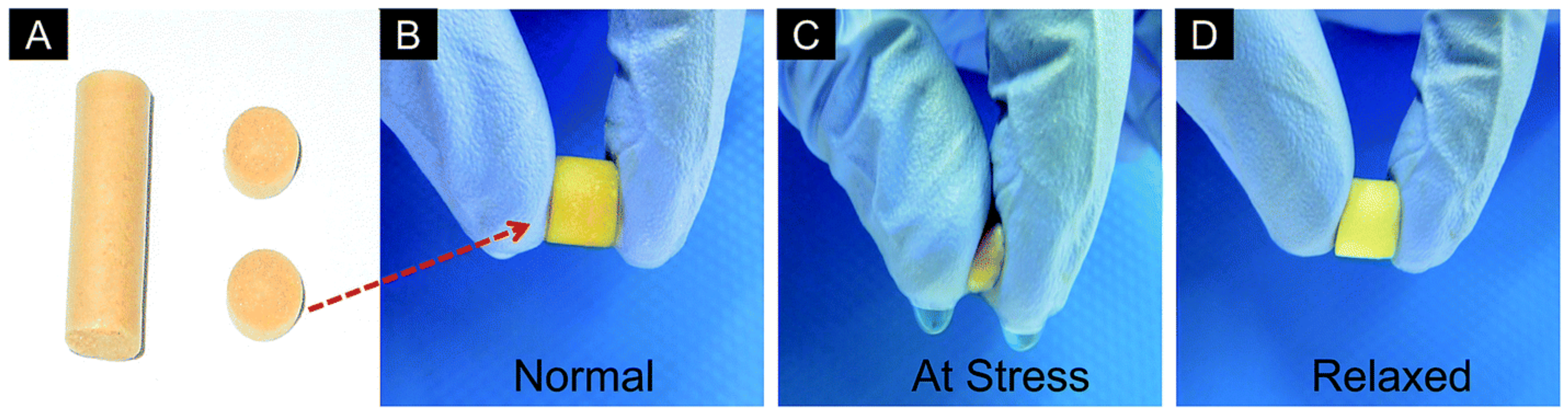 Polymers 13 03015 g005