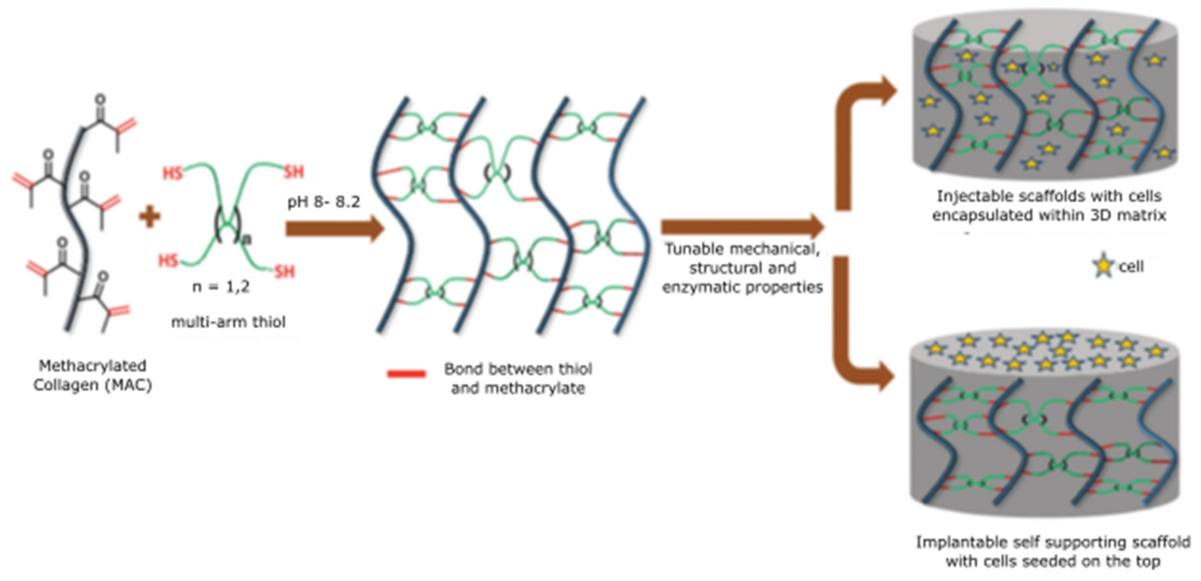 Polymers 13 03015 g007