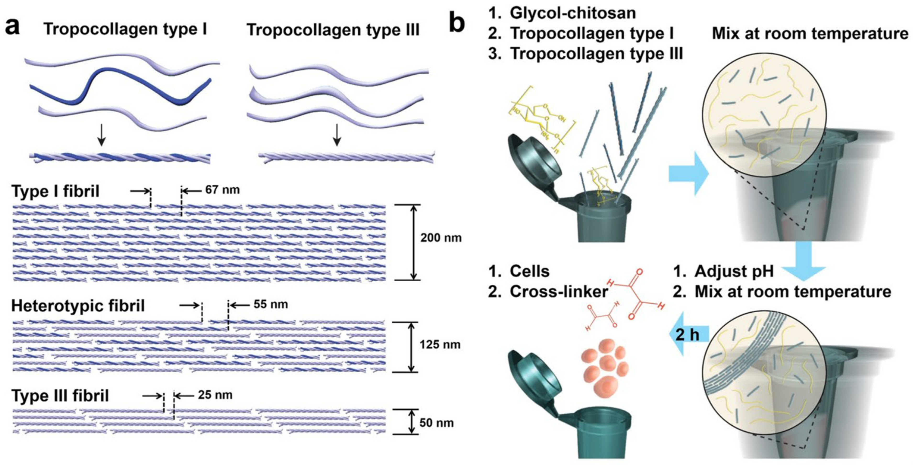 Polymers 13 03015 g009