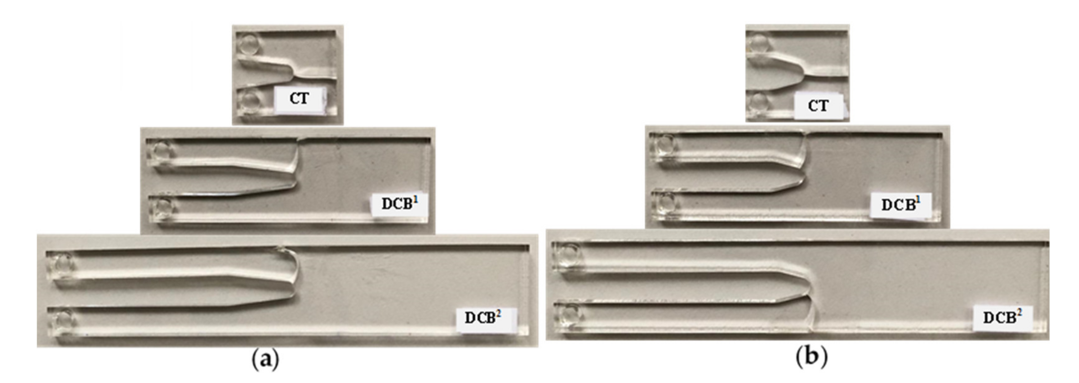 Polymers 13 03017 g012
