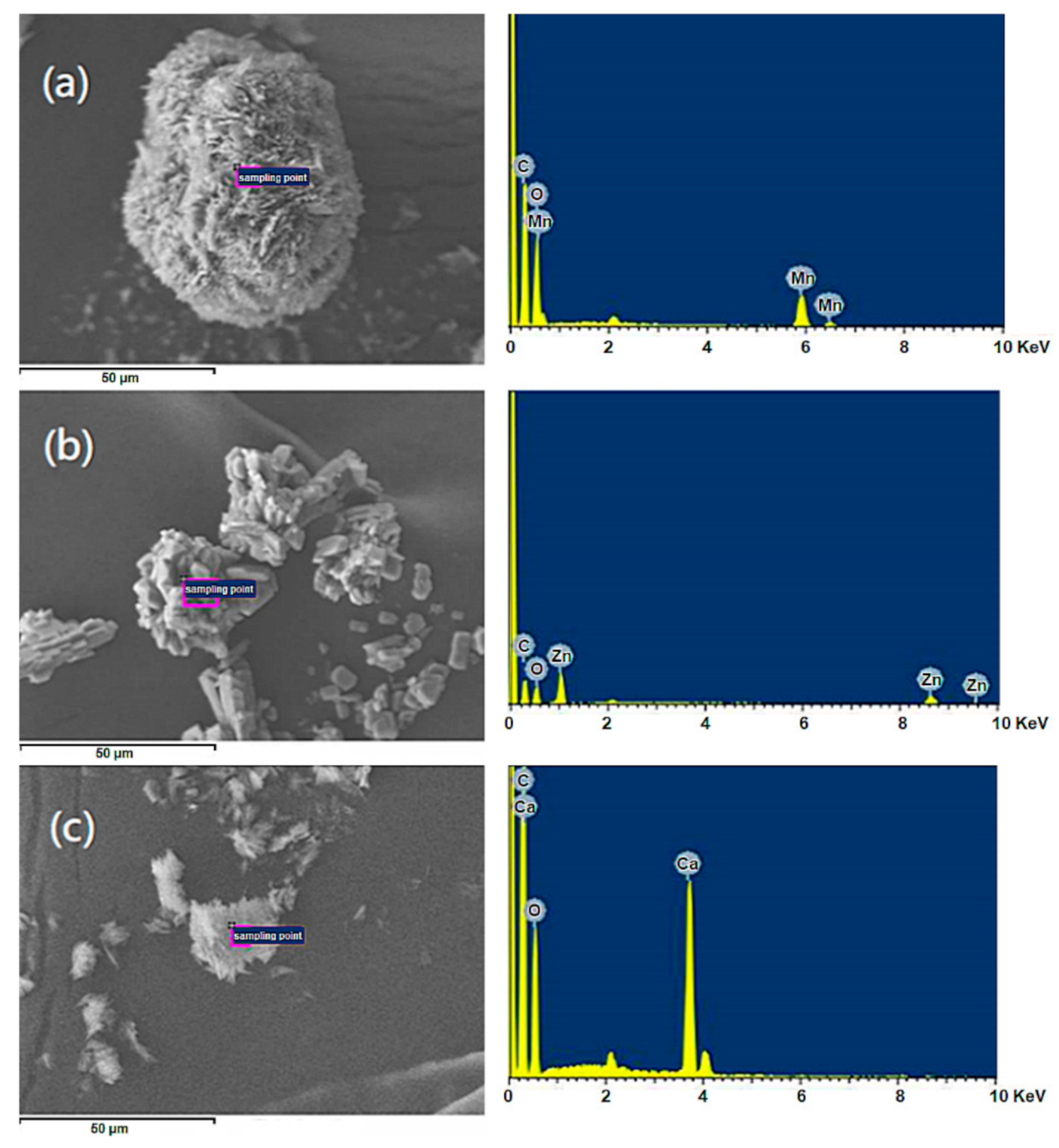 Polymers 13 03022 g002 Polymers 13 03022 g002