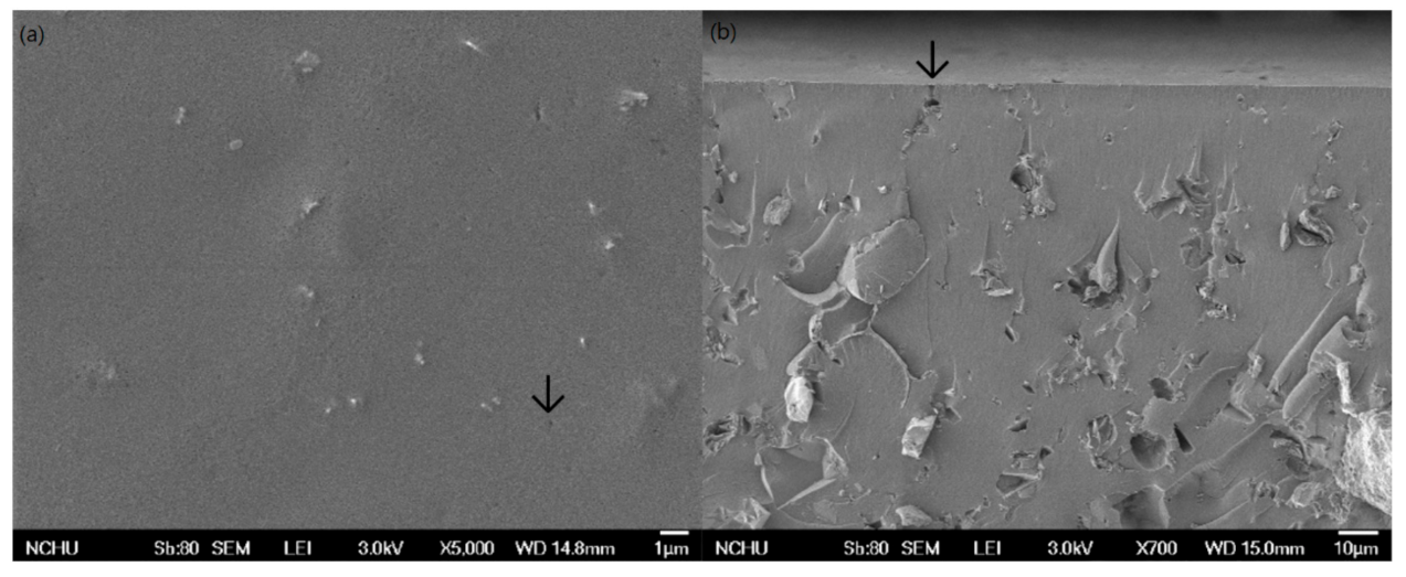 Polymers 13 03022 g005 Polymers 13 03022 g005