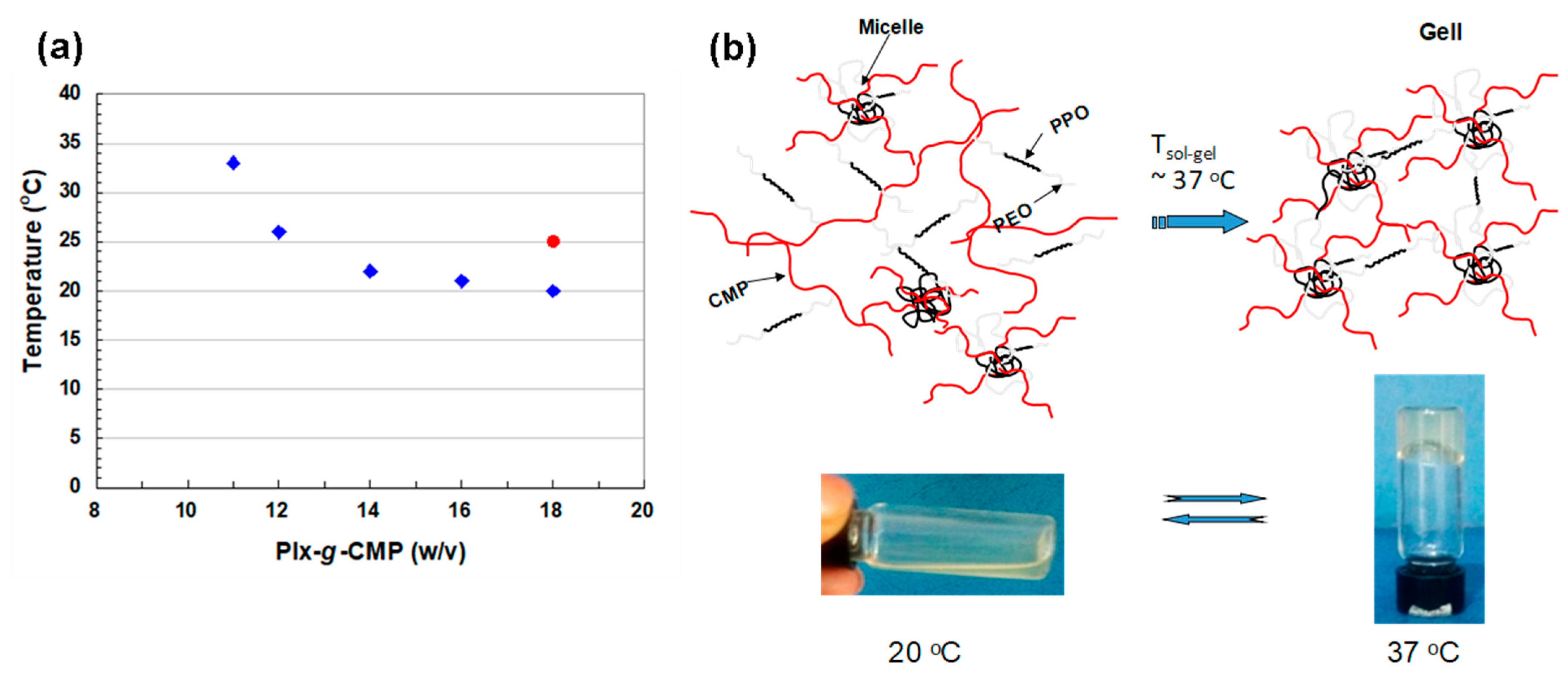 Polymers 13 03025 g004