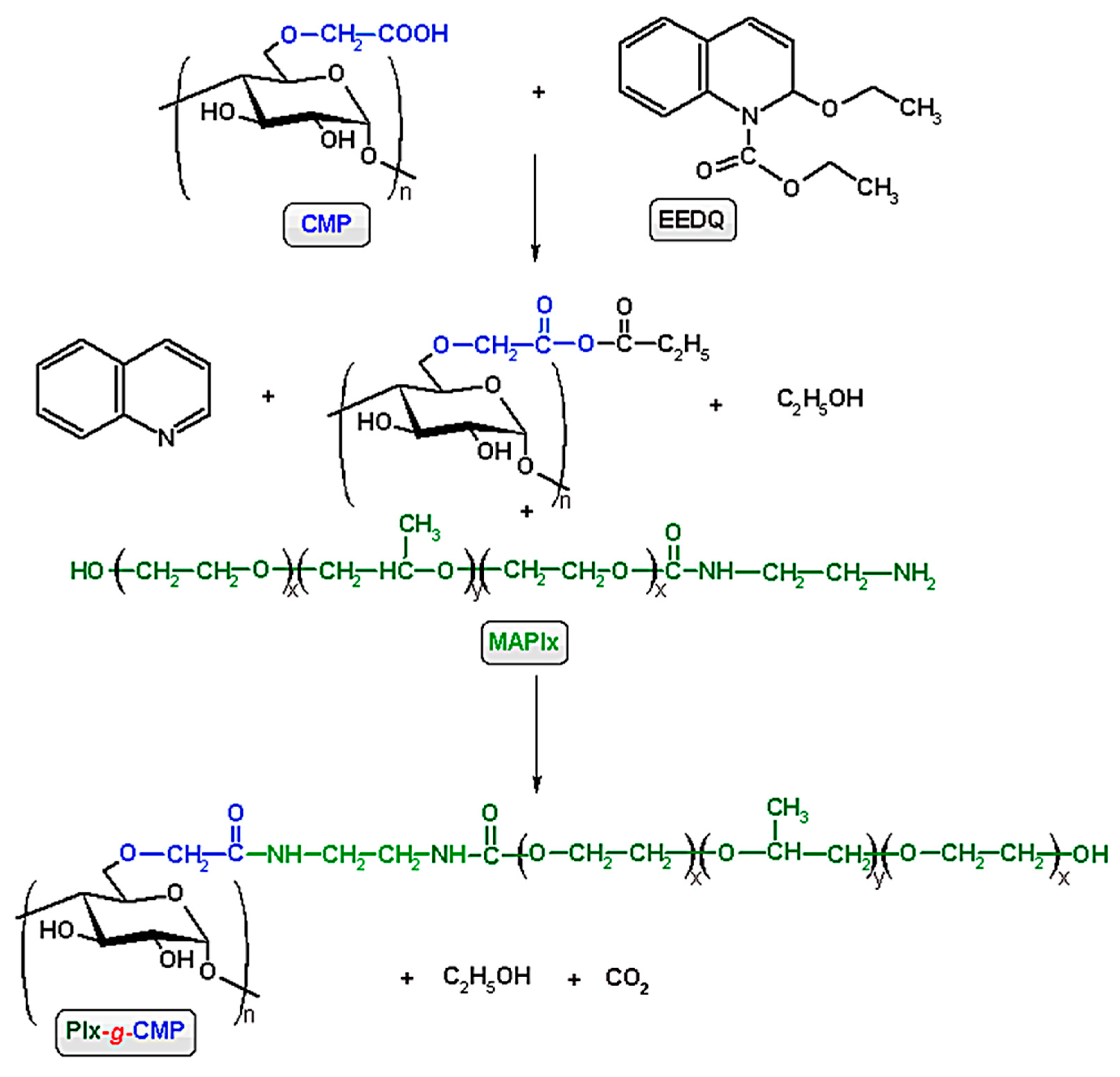 Polymers 13 03025 sch001