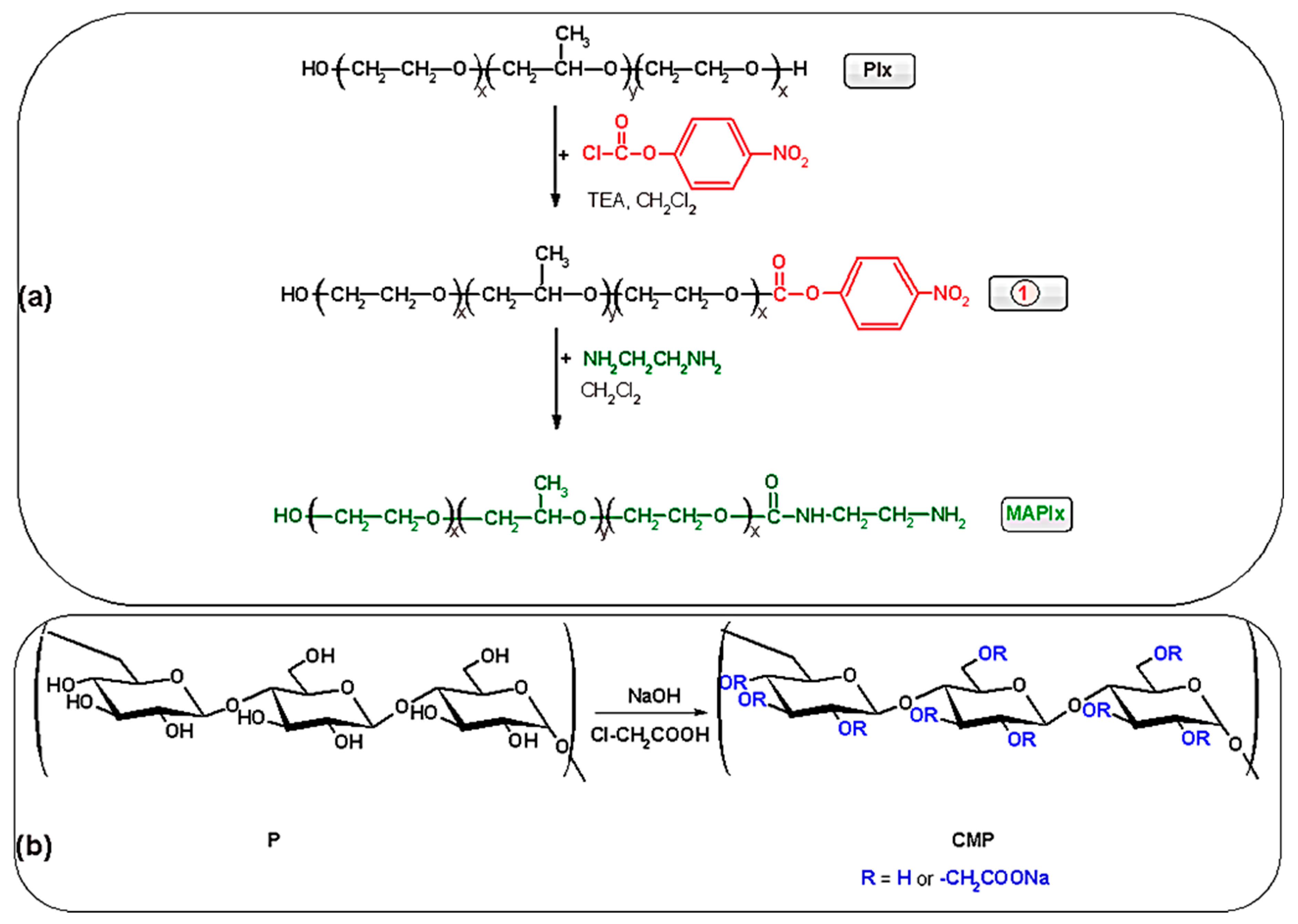 Polymers 13 03025 sch002