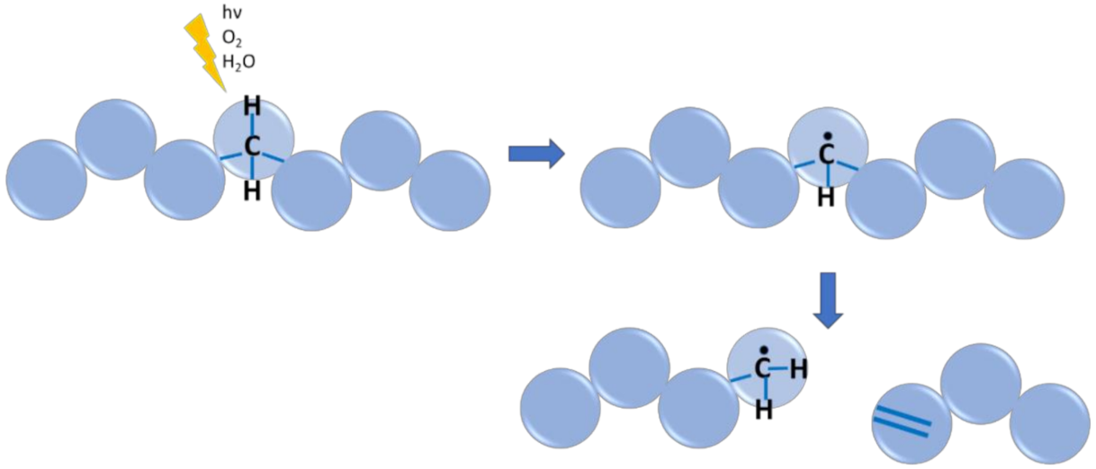 Polymers 13 03027 g007