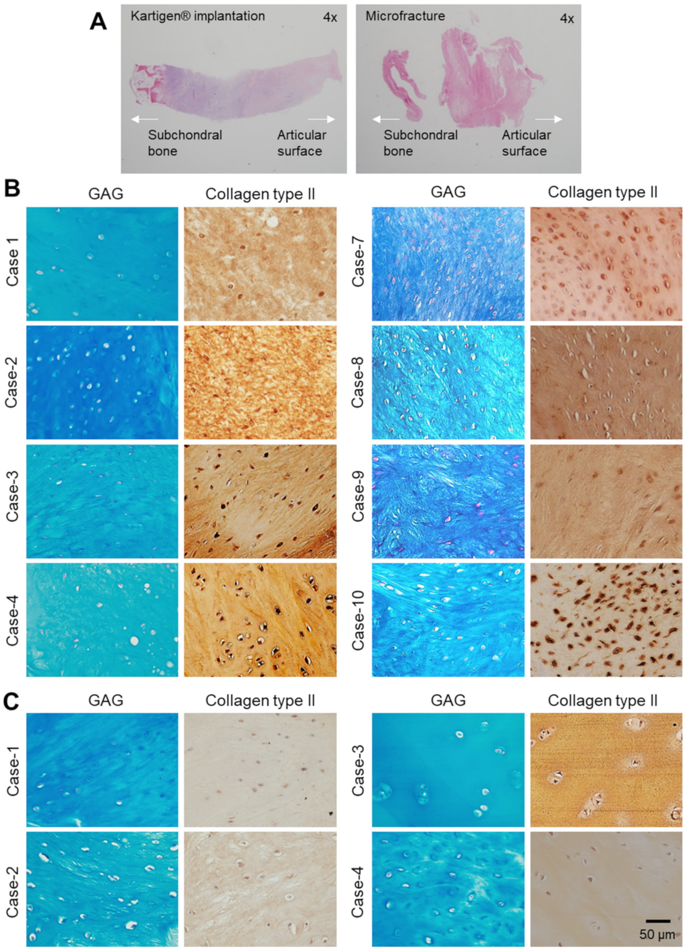 Polymers 13 03029 g004
