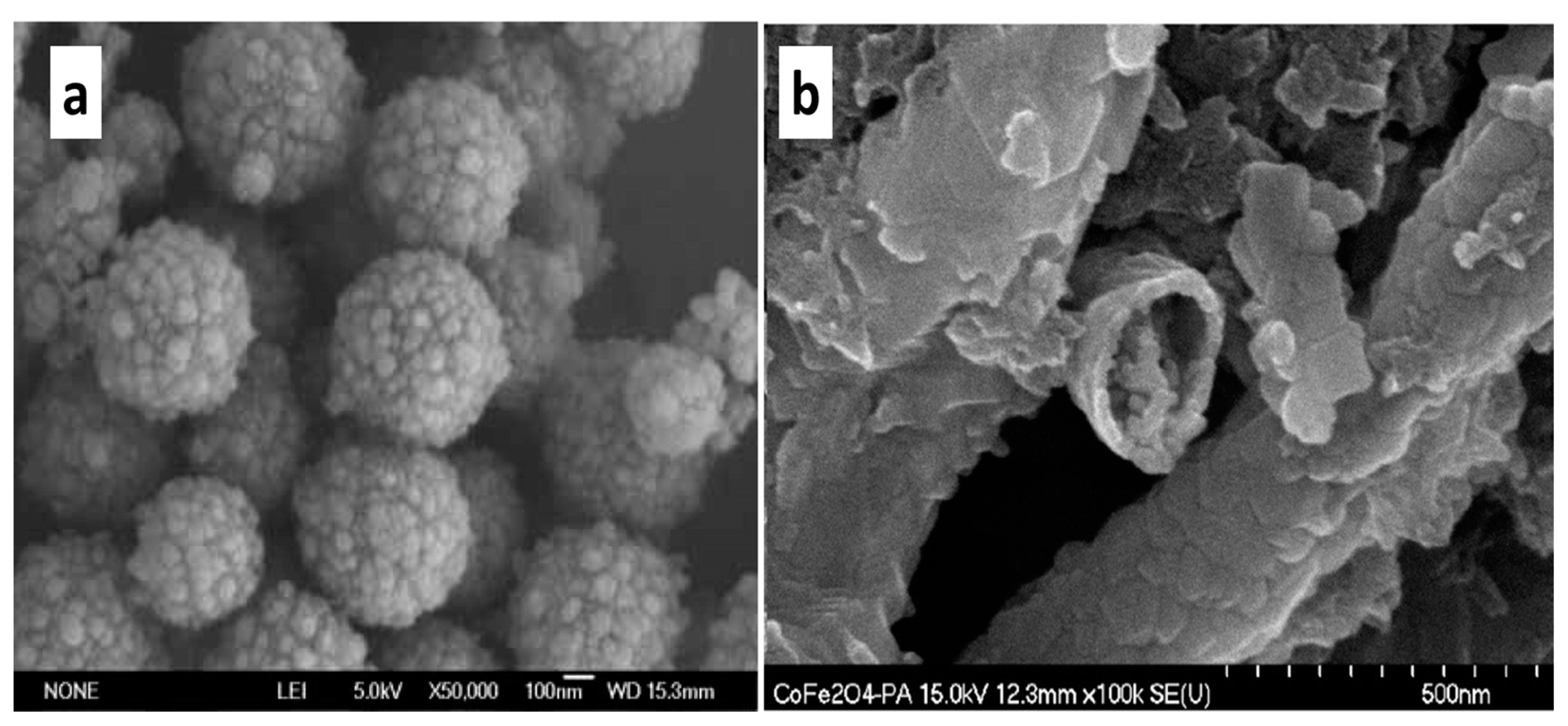 Polymers 13 03031 g001