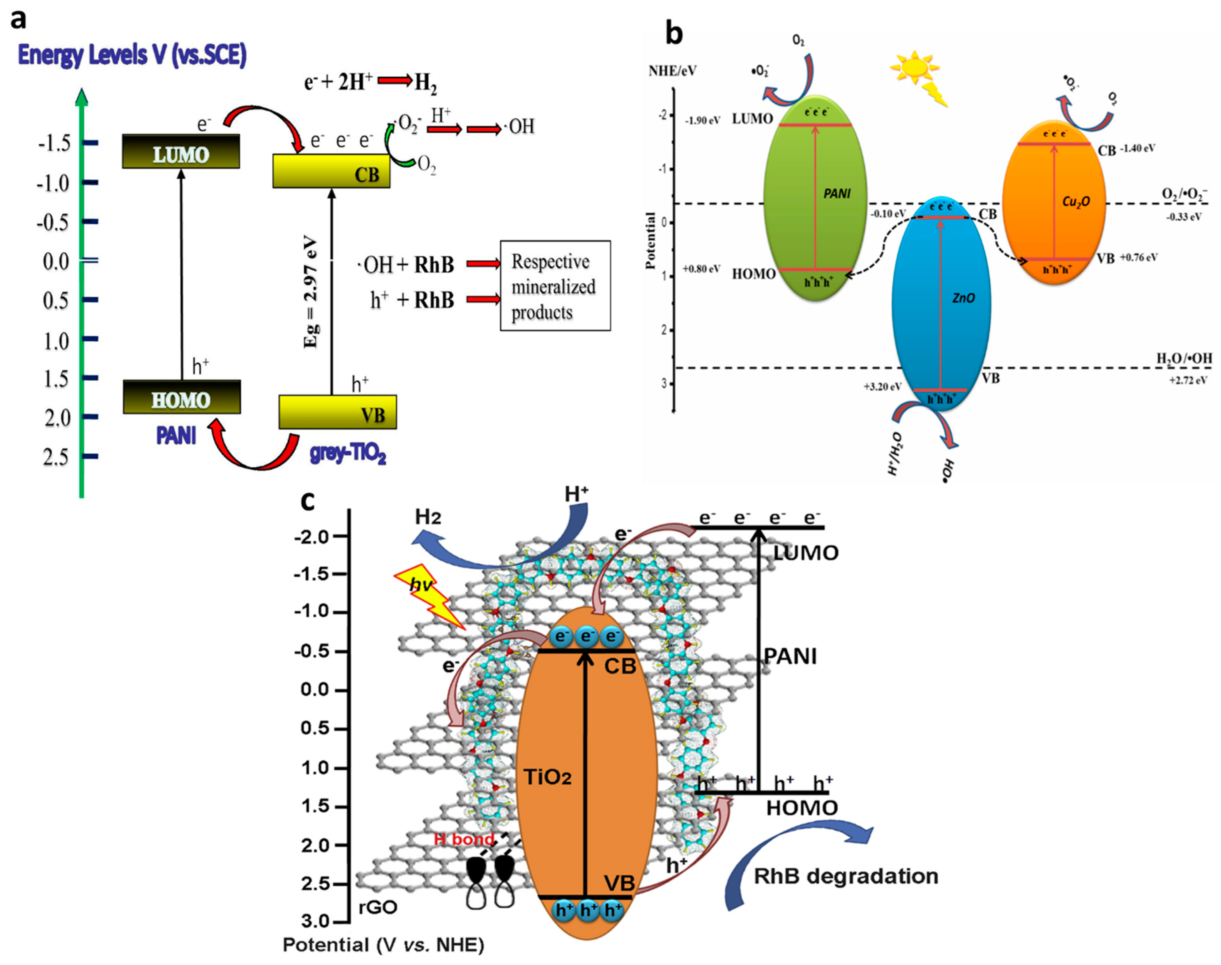 Polymers 13 03031 g005