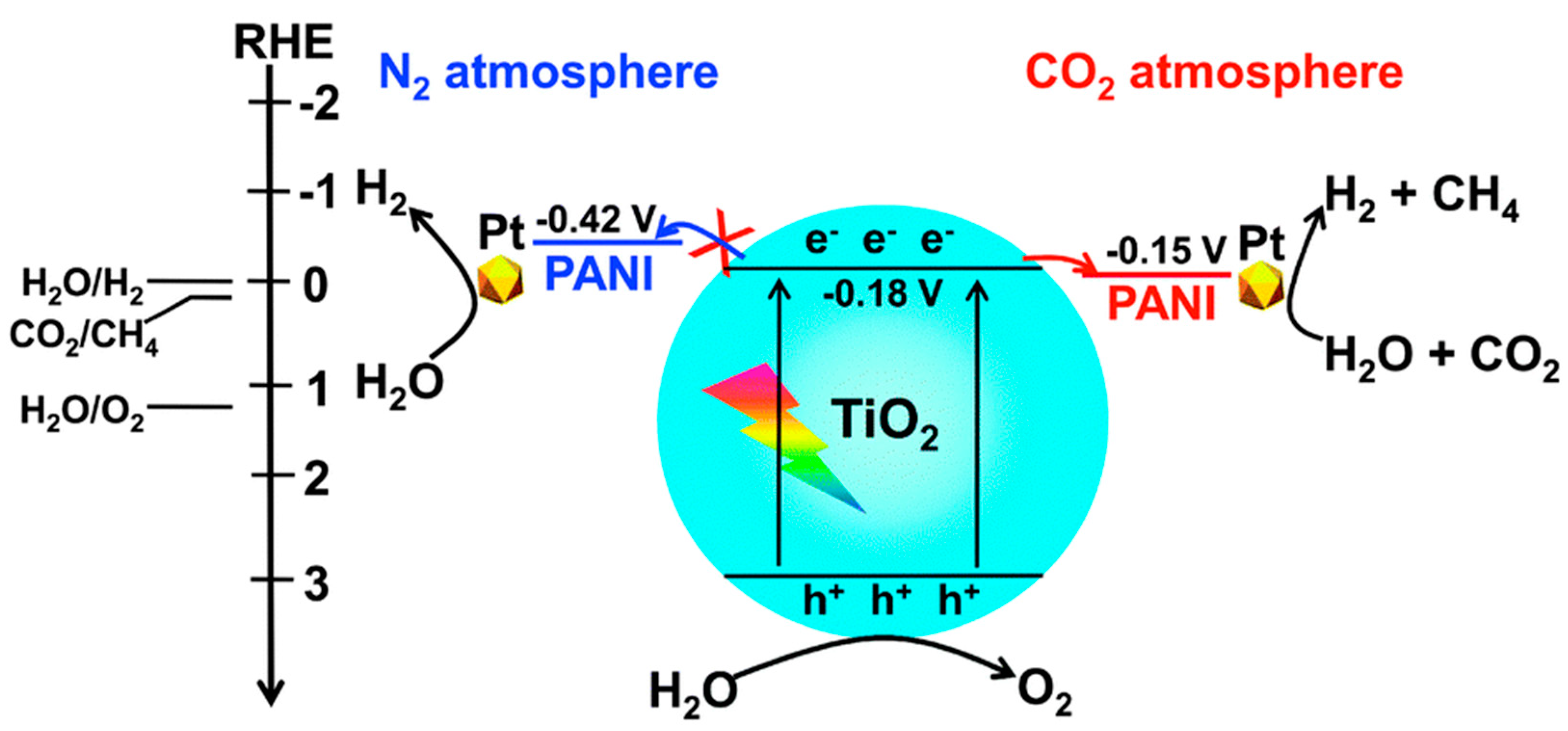 Polymers 13 03031 g007