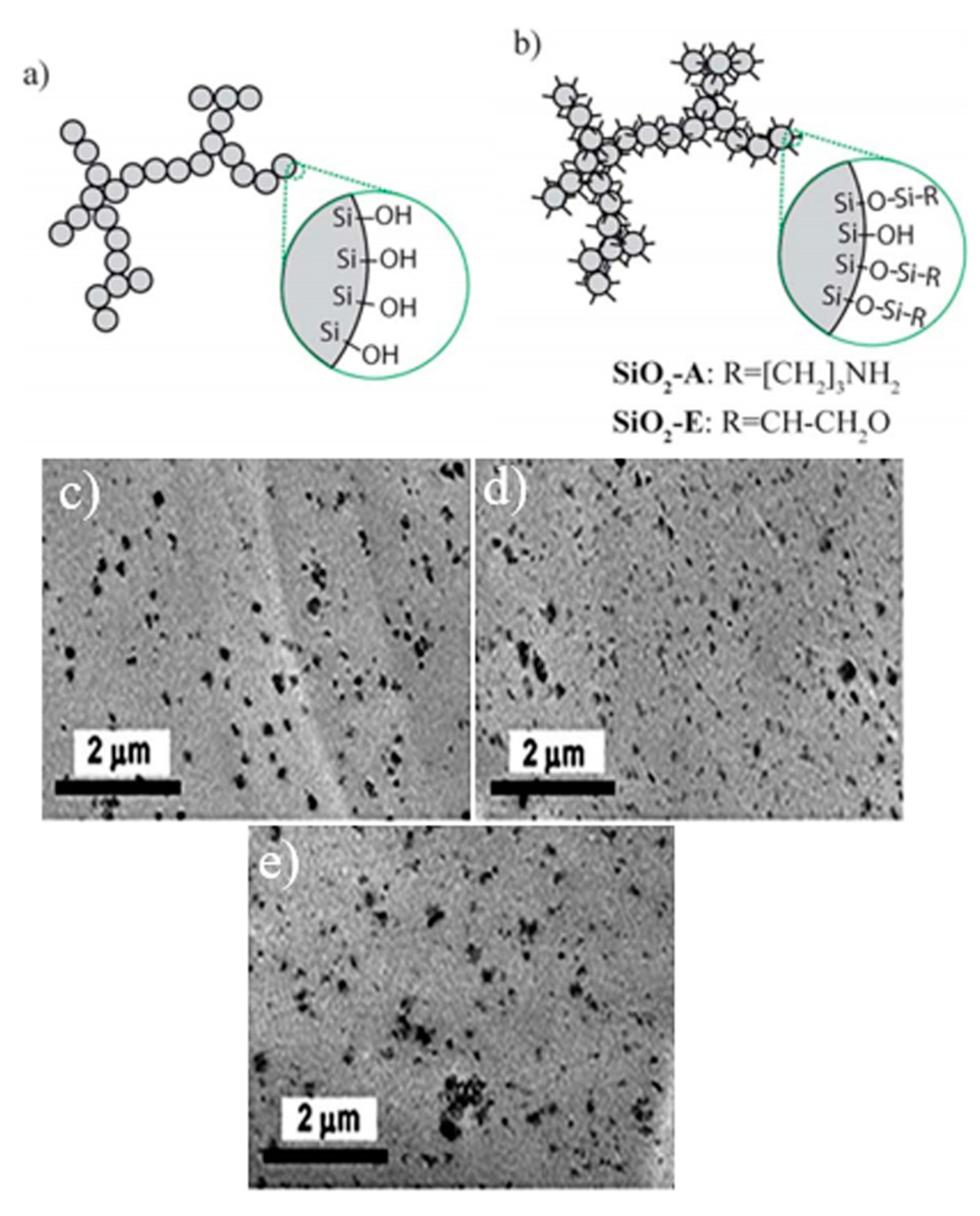 Polymers 13 03036 g001 Polymers 13 03036 g001