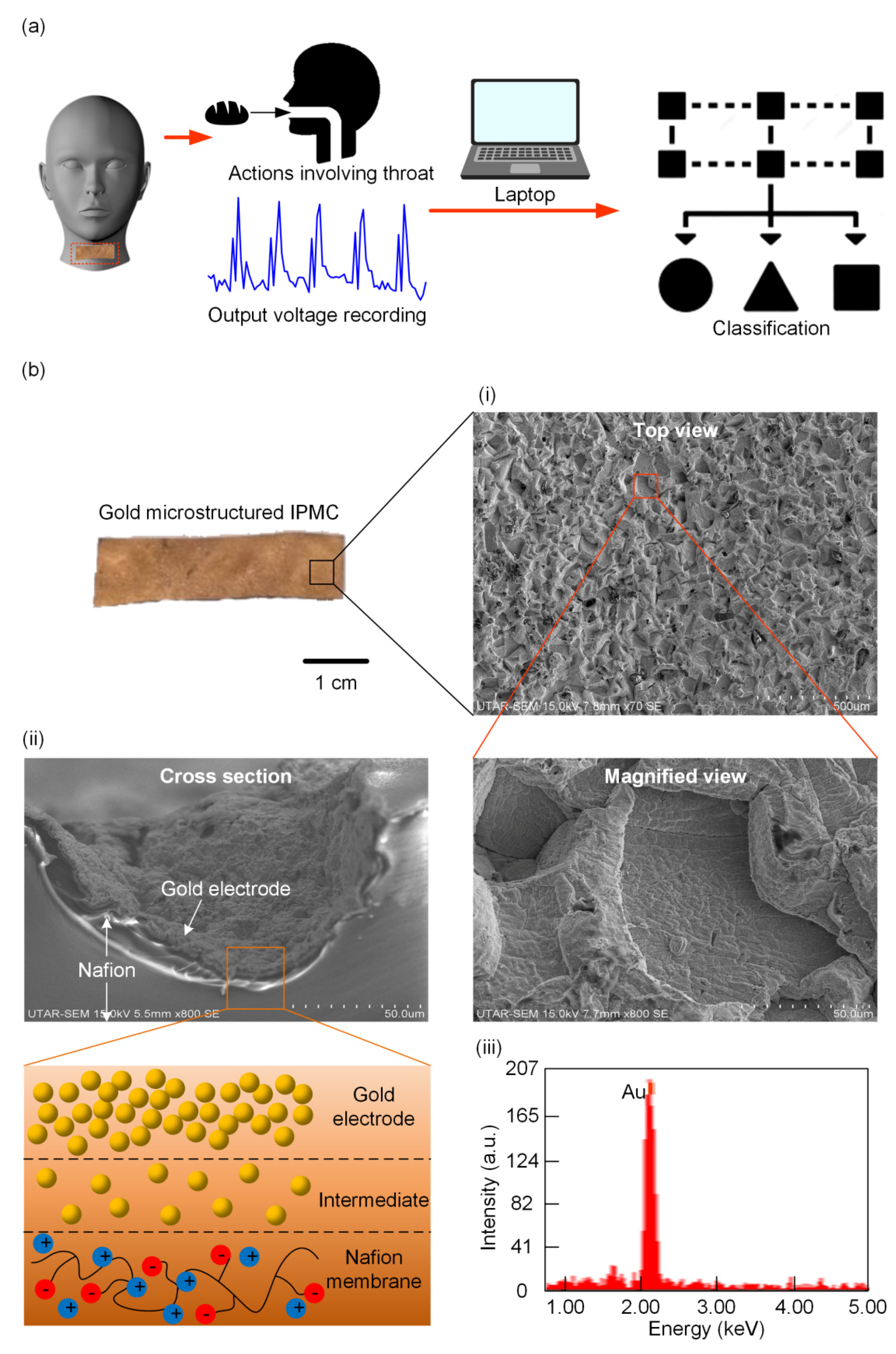 Polymers 13 03041 g001