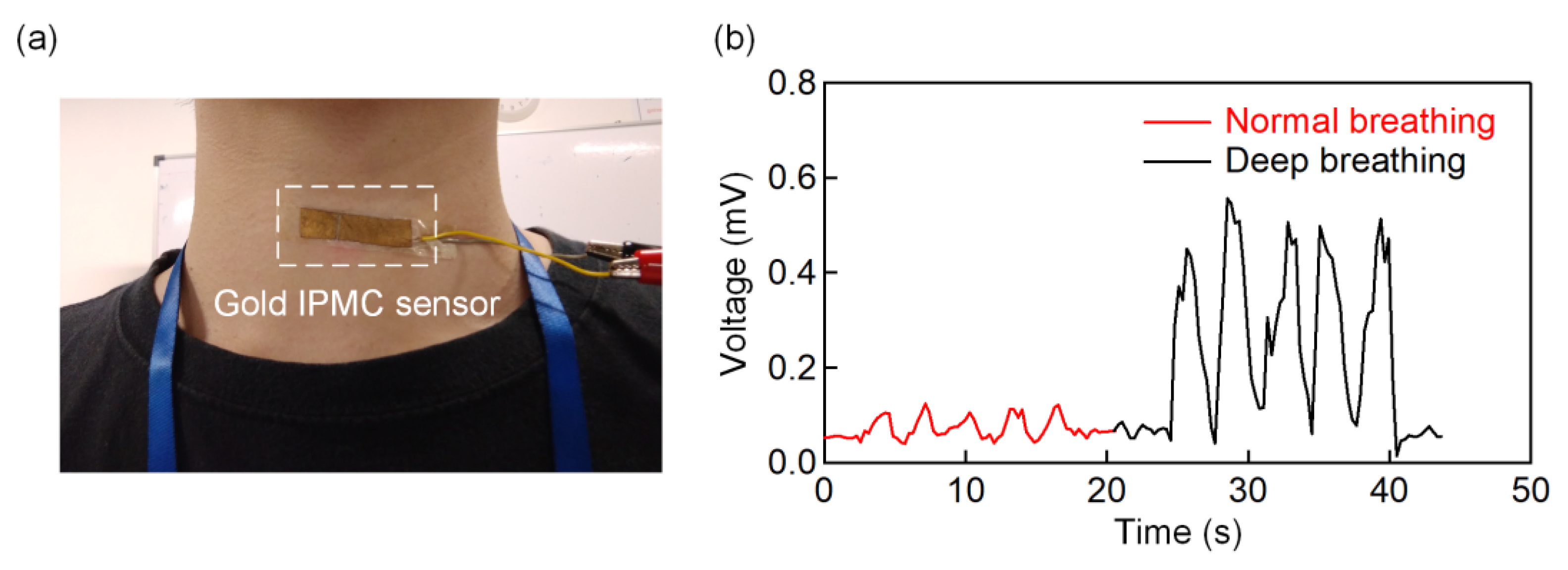 Polymers 13 03041 g004