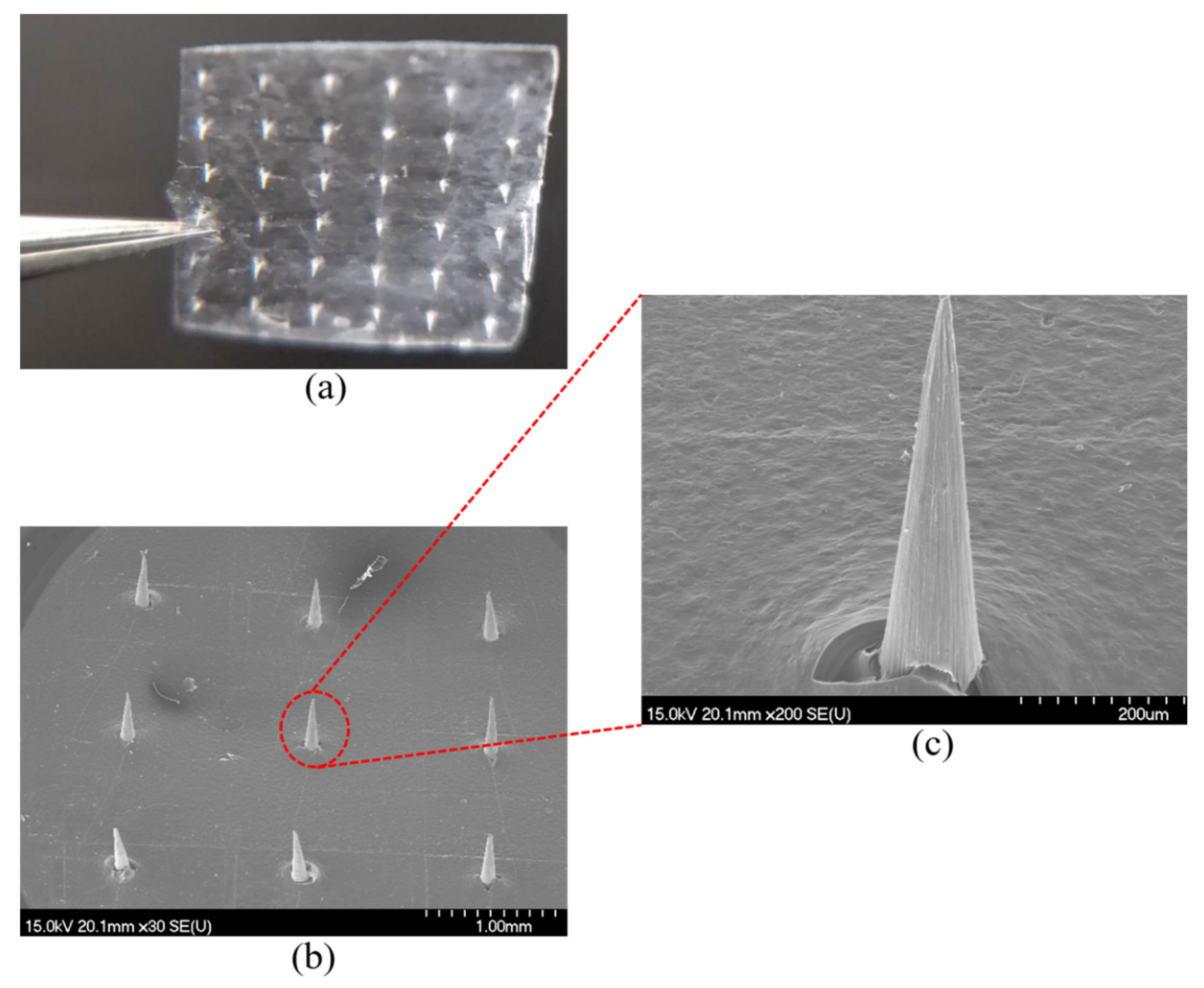 Polymers 13 03043 g004