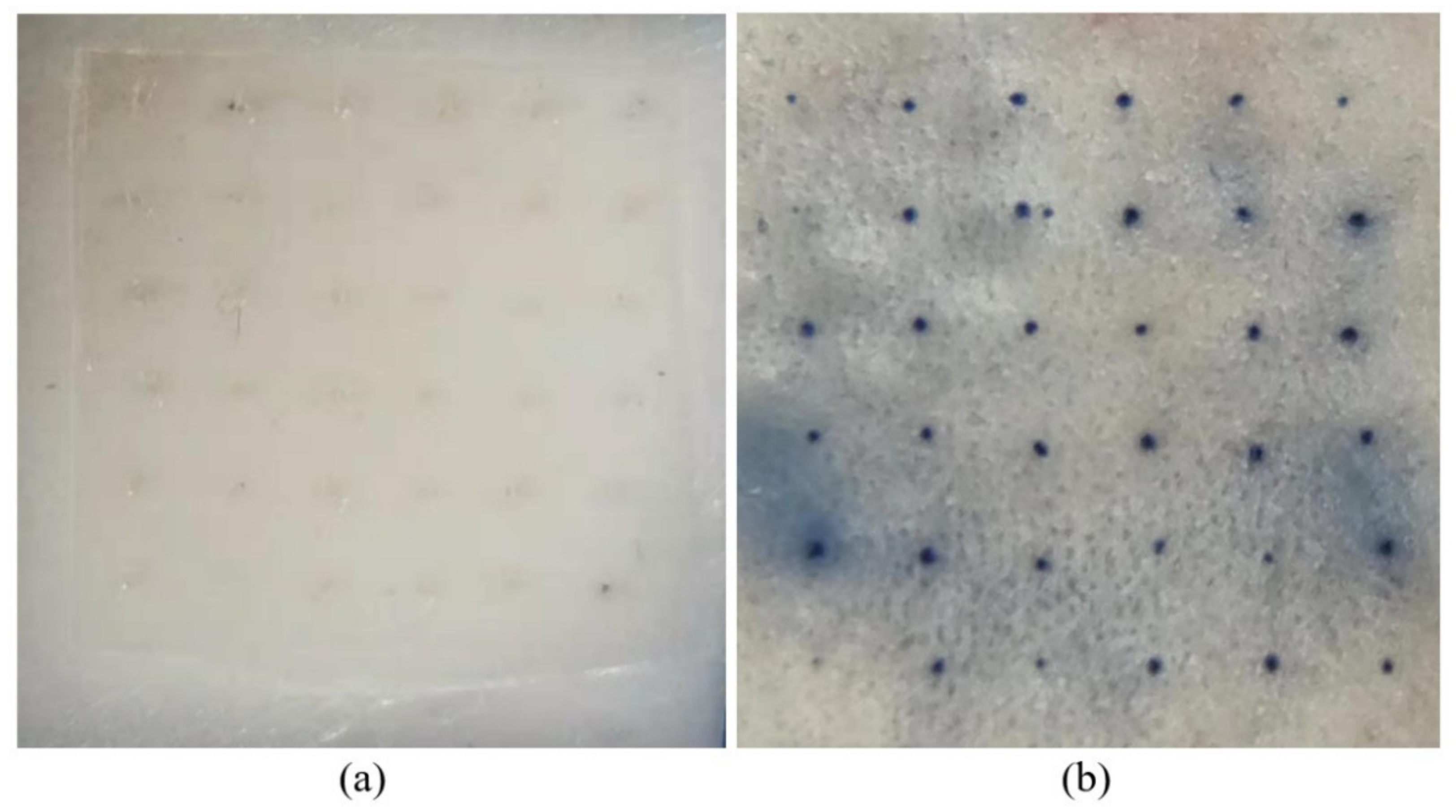 Polymers 13 03043 g007
