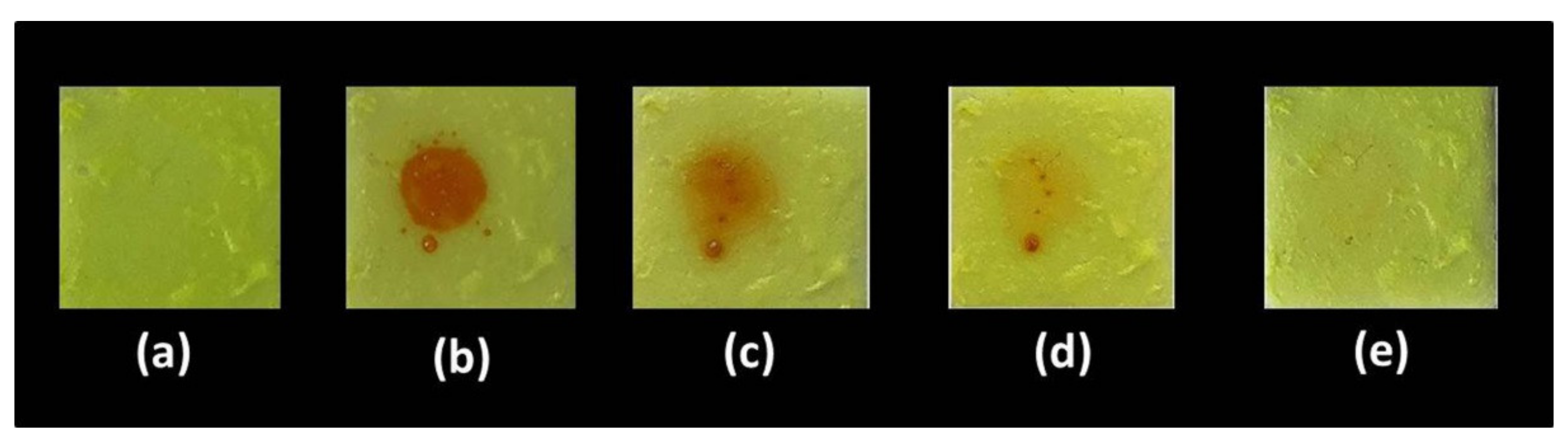 Polymers 13 03046 g007