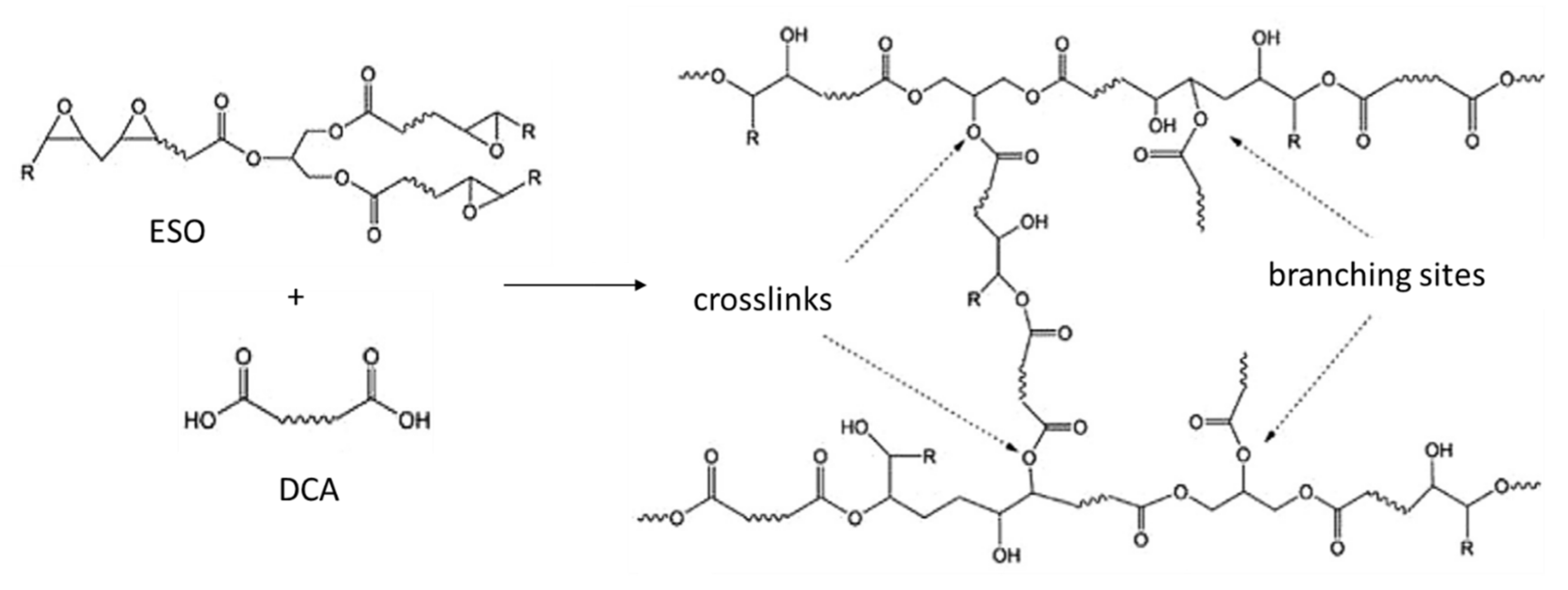 Polymers 13 03050 g003 Polymers 13 03050 g003