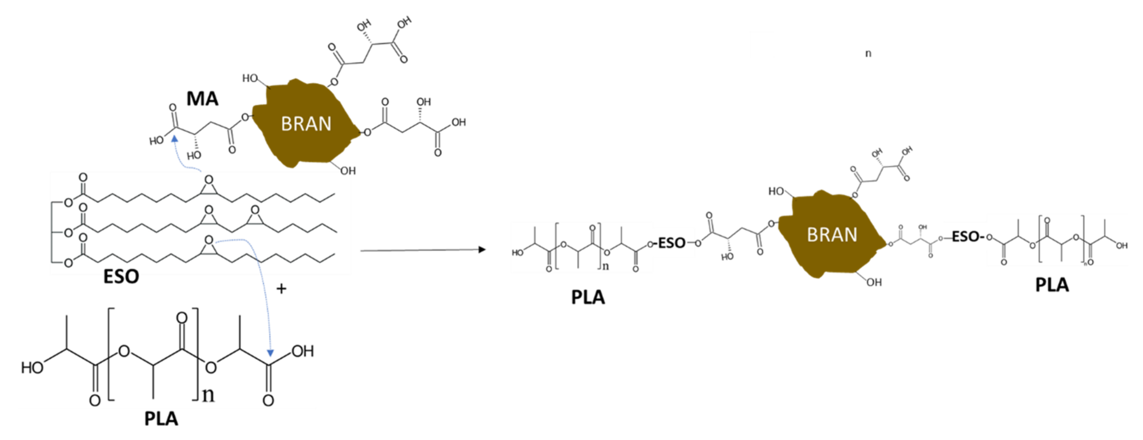 Polymers 13 03050 g013 Polymers 13 03050 g013