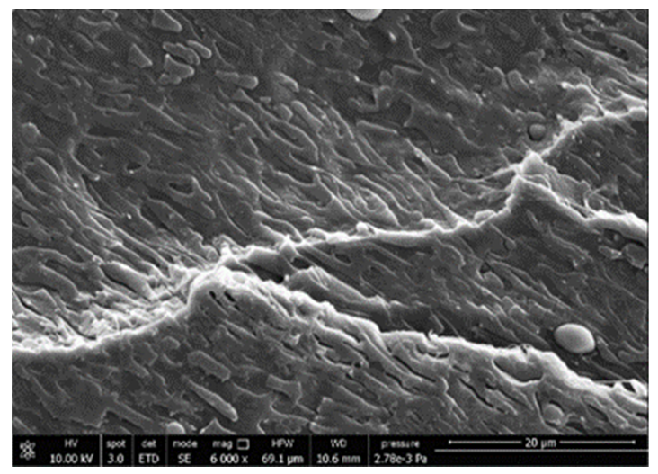 Polymers 13 03050 i002 Polymers 13 03050 i002