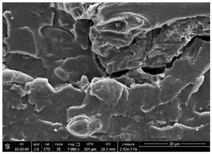 Polymers 13 03050 i004 Polymers 13 03050 i004