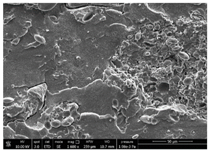 Polymers 13 03050 i005 Polymers 13 03050 i005