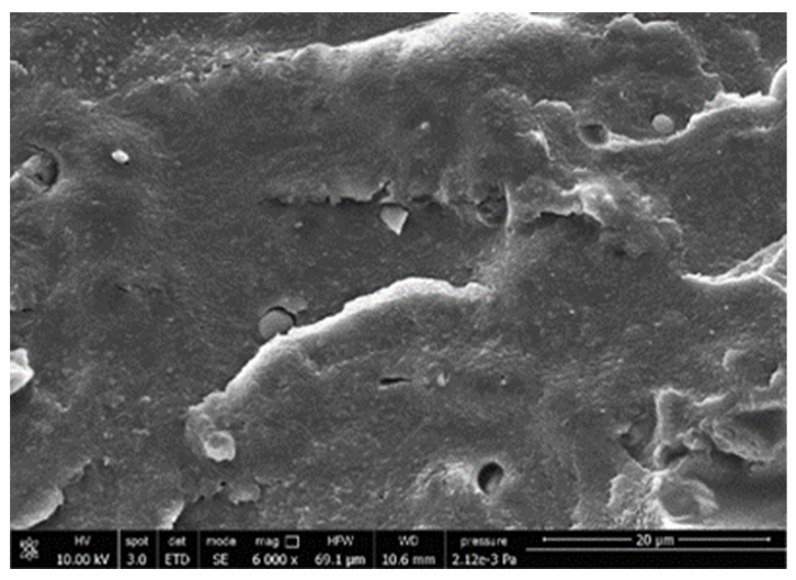 Polymers 13 03050 i006 Polymers 13 03050 i006