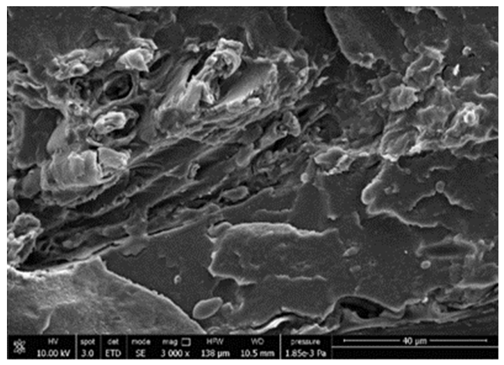 Polymers 13 03050 i007 Polymers 13 03050 i007