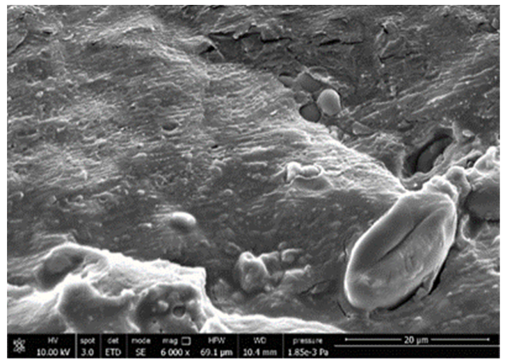 Polymers 13 03050 i008 Polymers 13 03050 i008