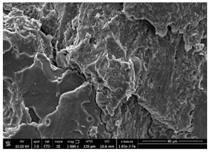 Polymers 13 03050 i009 Polymers 13 03050 i009