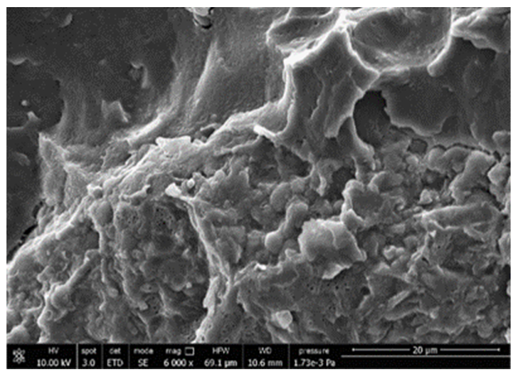 Polymers 13 03050 i010 Polymers 13 03050 i010
