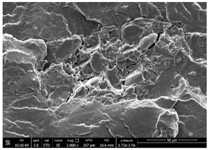 Polymers 13 03050 i011 Polymers 13 03050 i011
