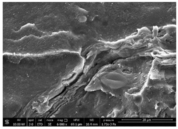 Polymers 13 03050 i012 Polymers 13 03050 i012