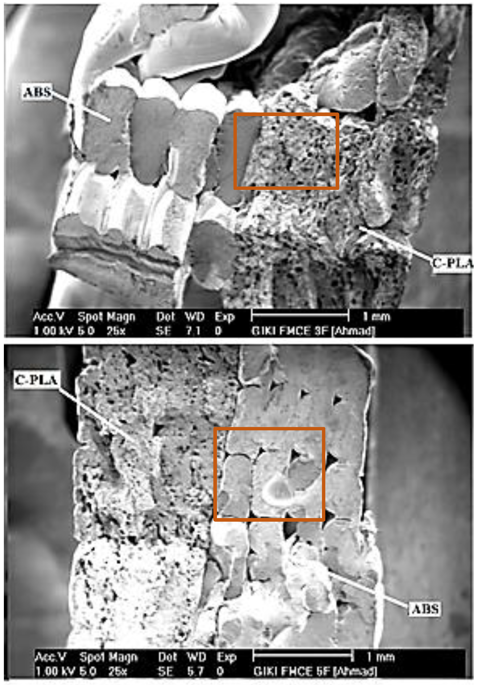 Polymers 13 03057 g008