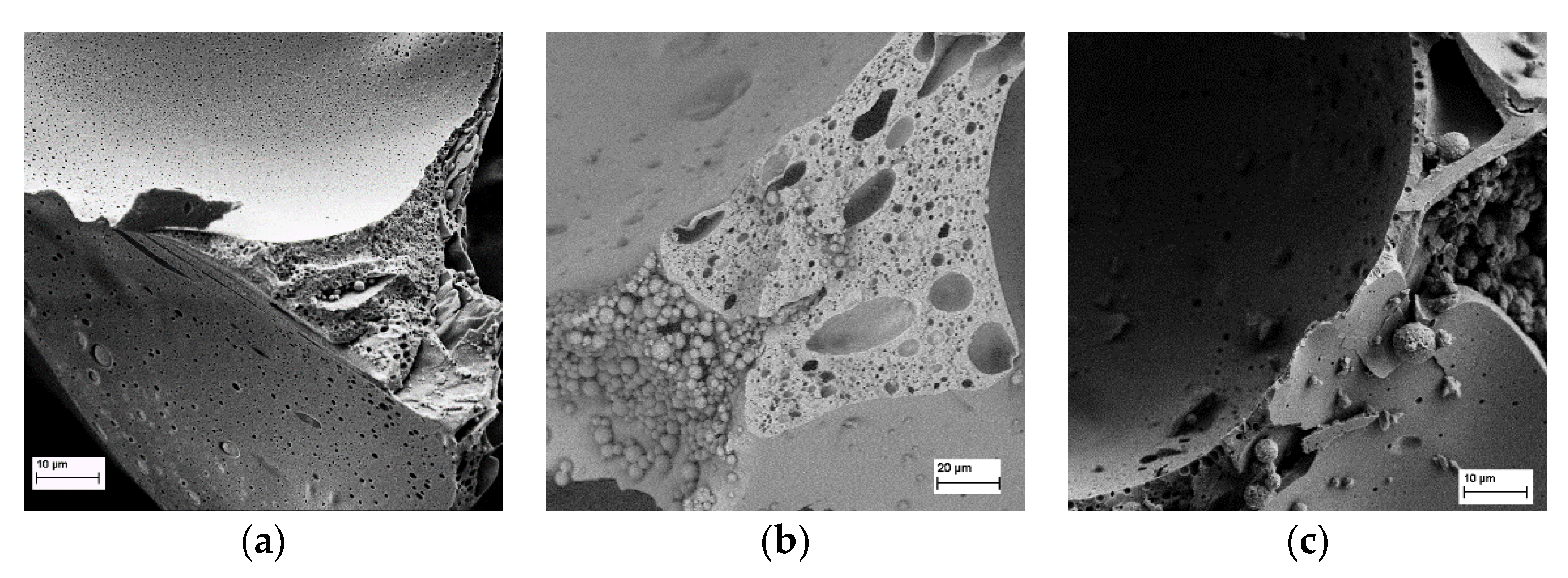 Polymers 13 03058 g004 Polymers 13 03058 g004
