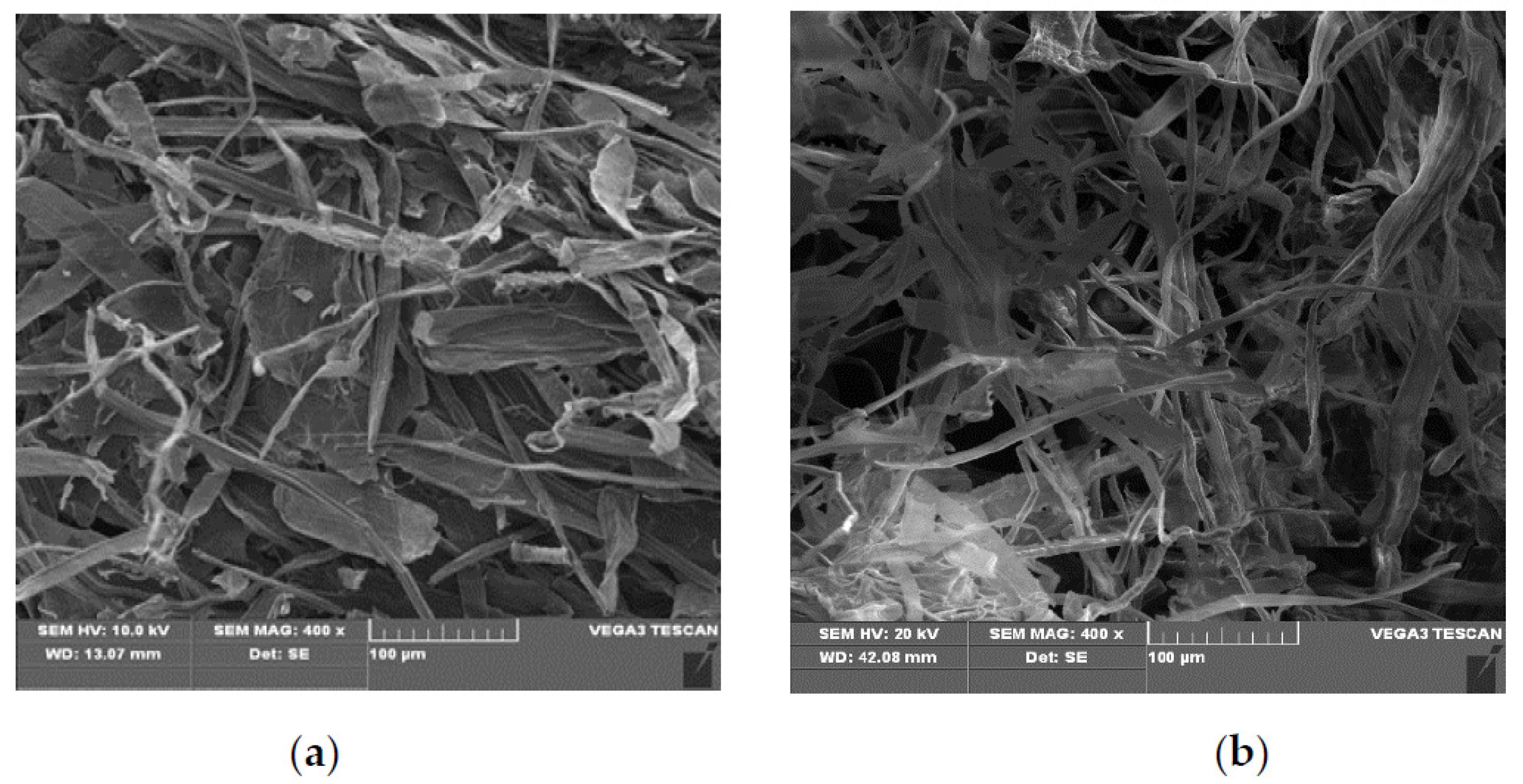 Polymers 13 03063 g001 Polymers 13 03063 g001