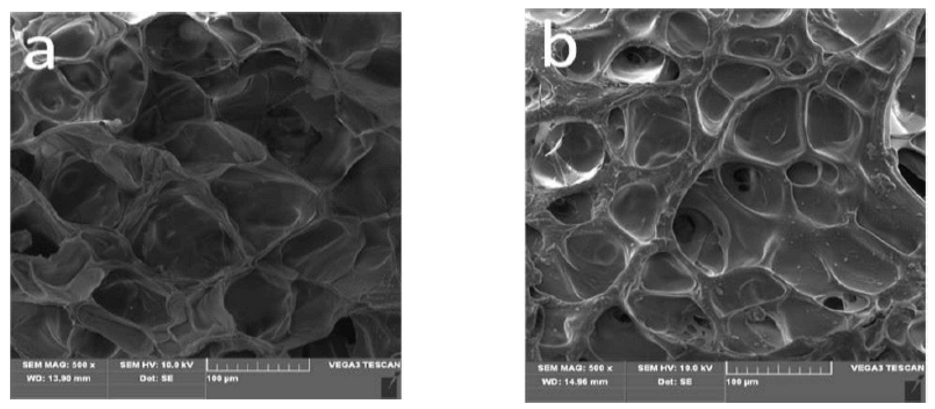 Polymers 13 03063 g003 Polymers 13 03063 g003