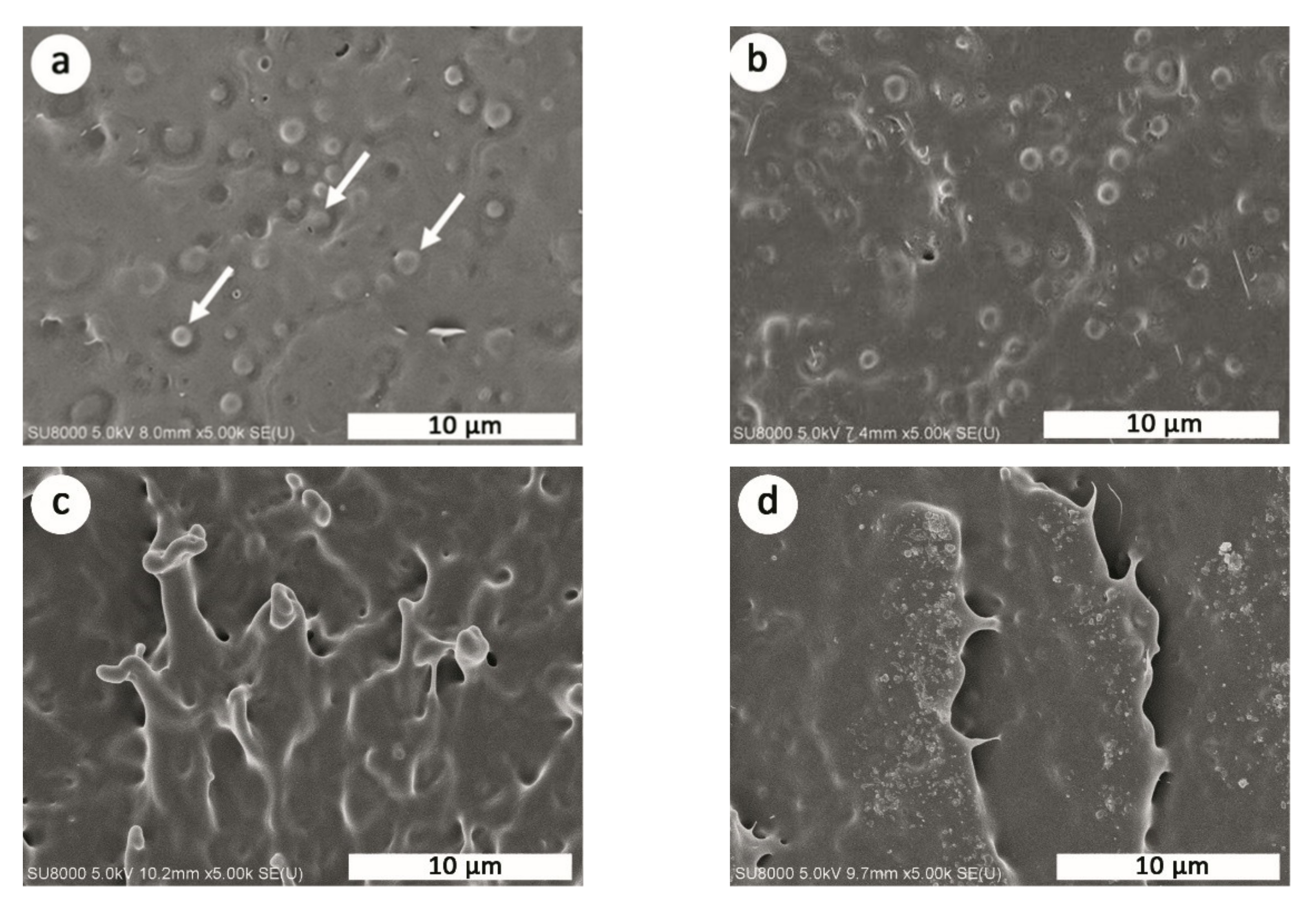 Polymers 13 03066 g004