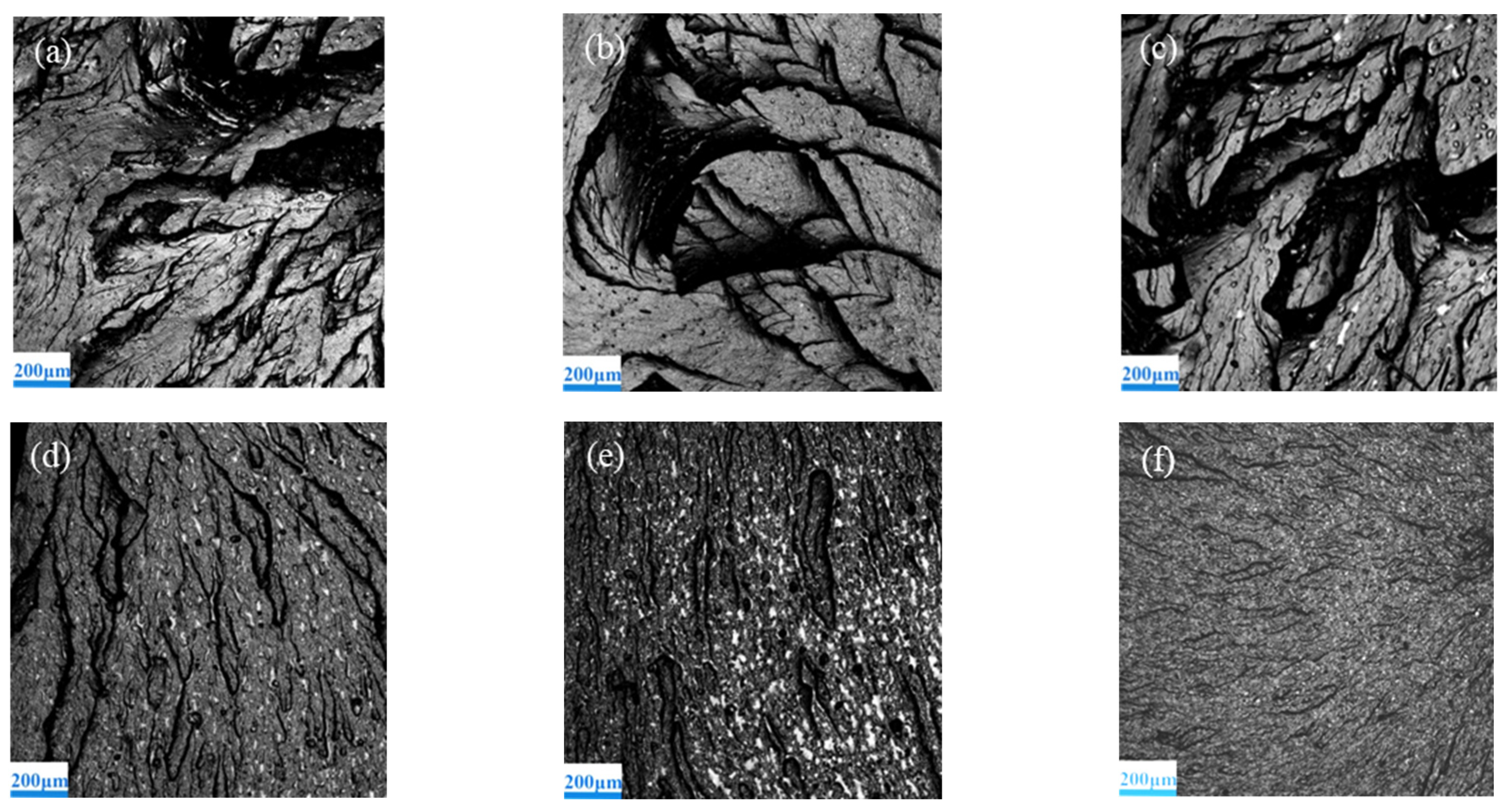 Polymers 13 03067 g008