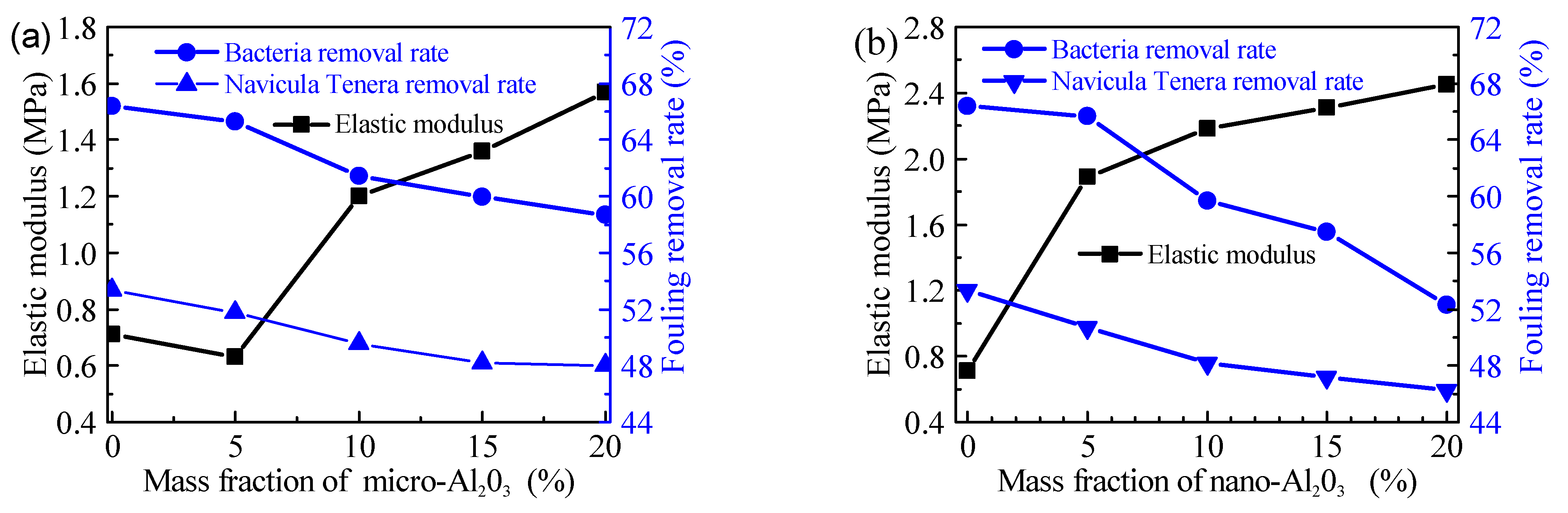 Polymers 13 03067 g010