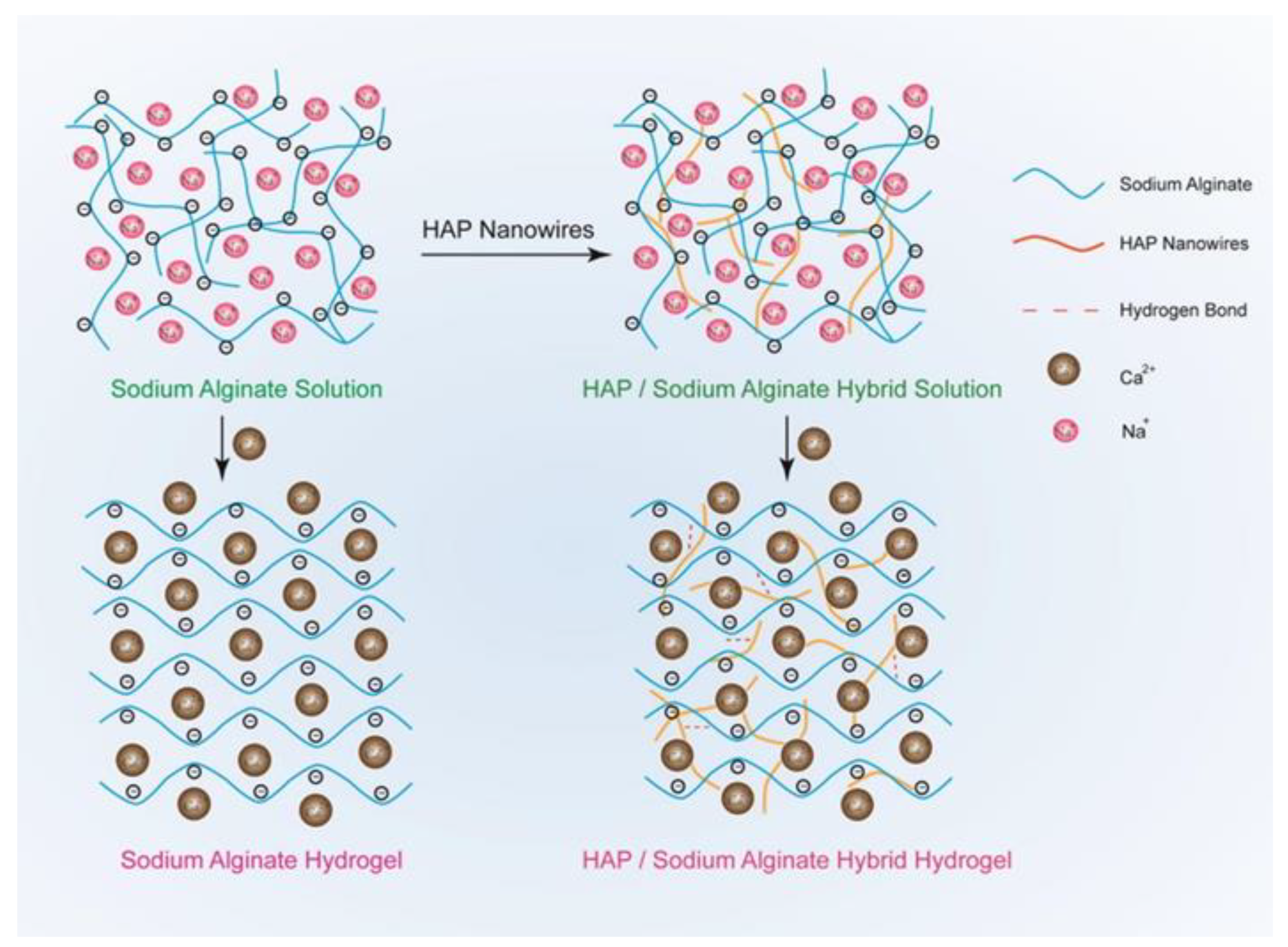 Polymers 13 03070 g005