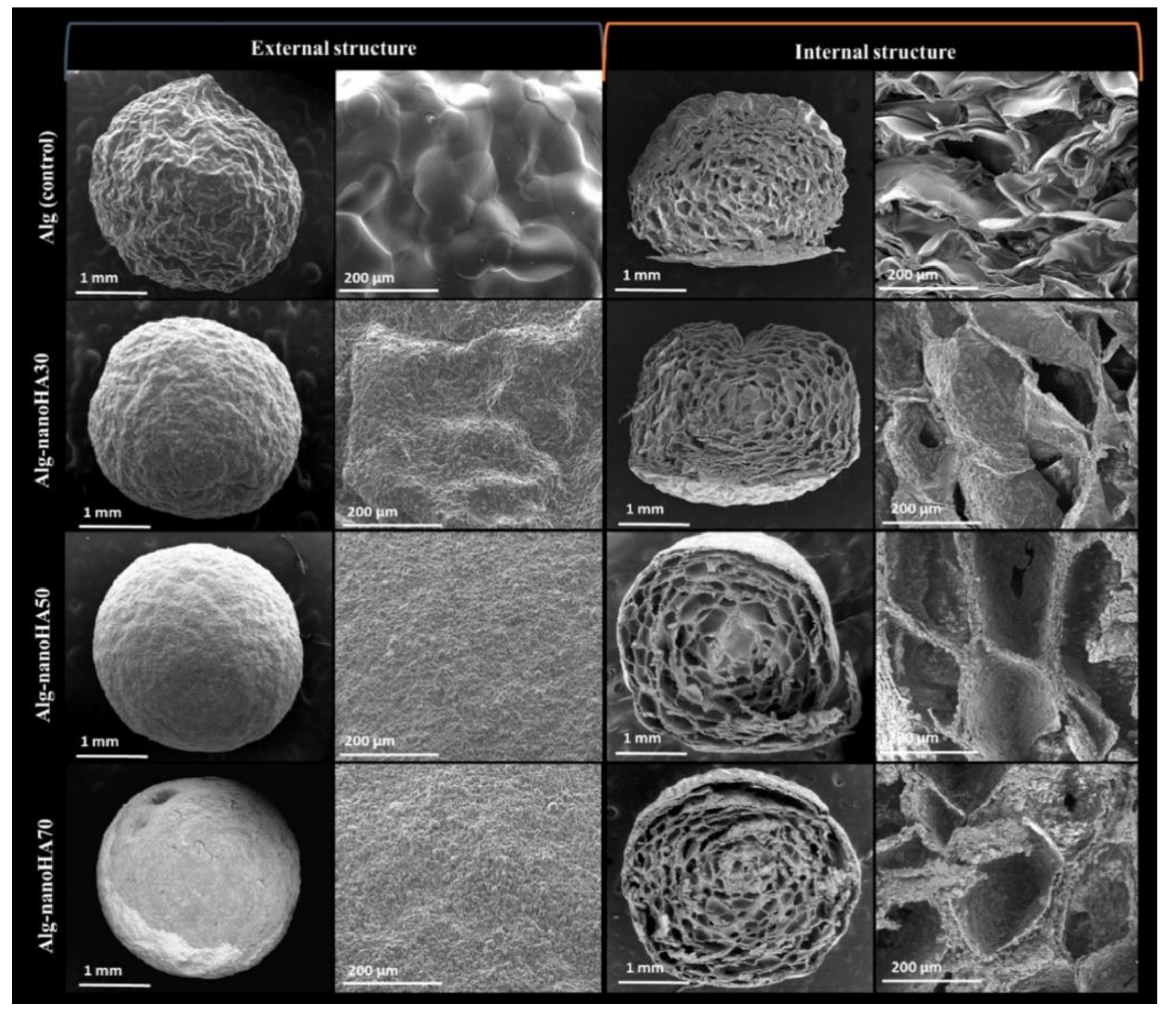 Polymers 13 03070 g008