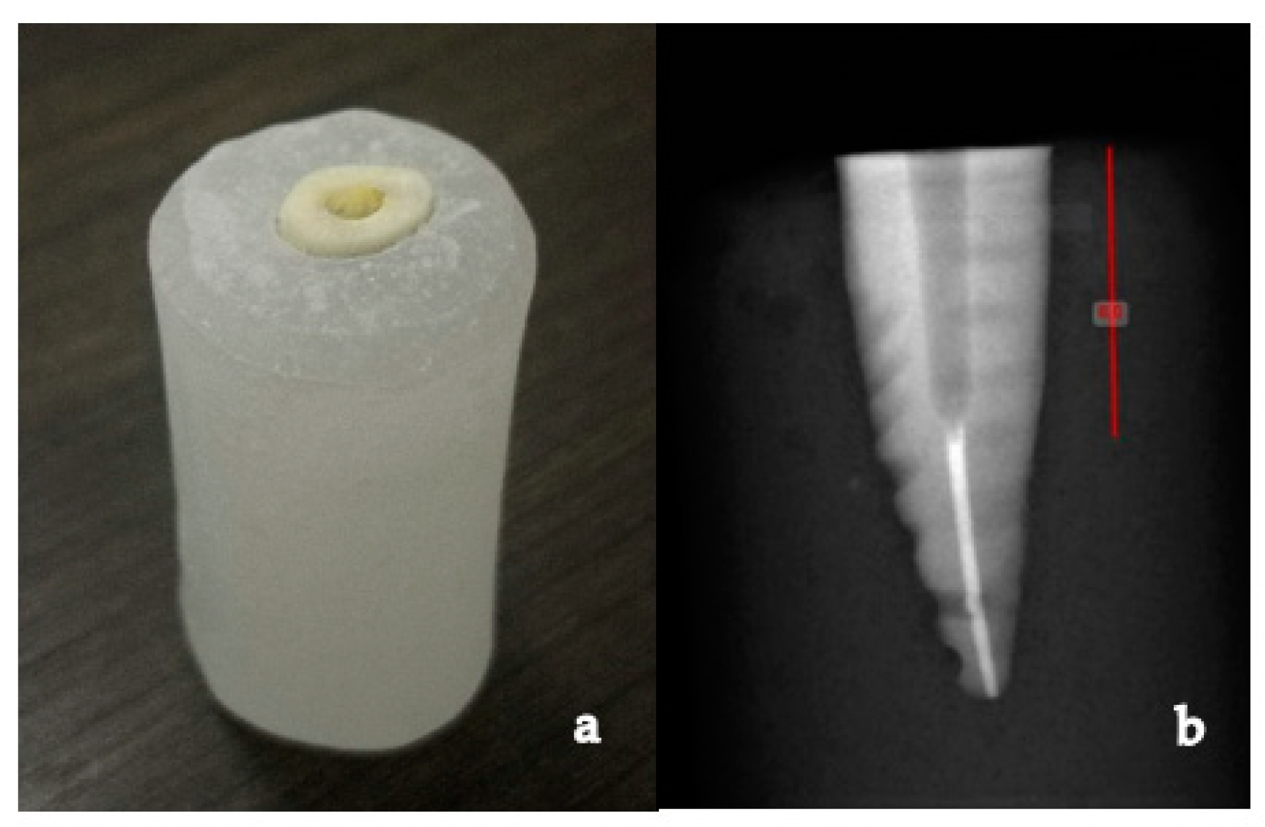 Polymers 13 03082 g001