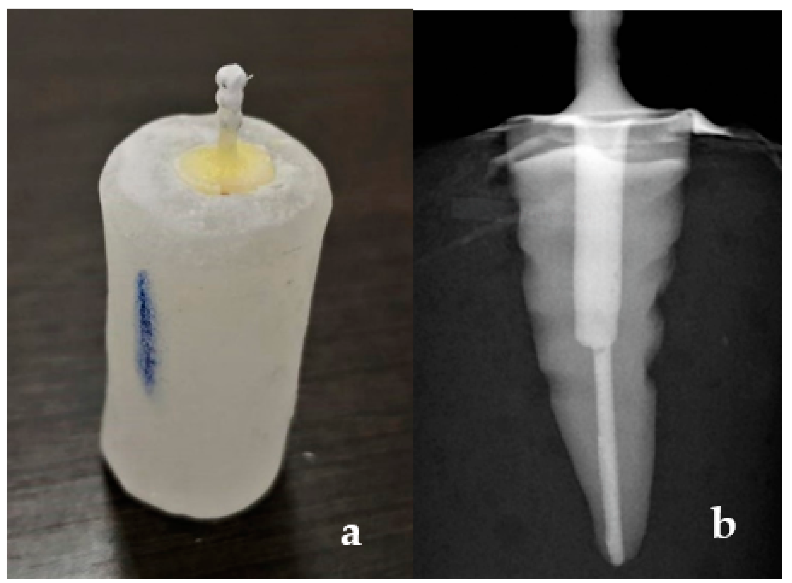 Polymers 13 03082 g003