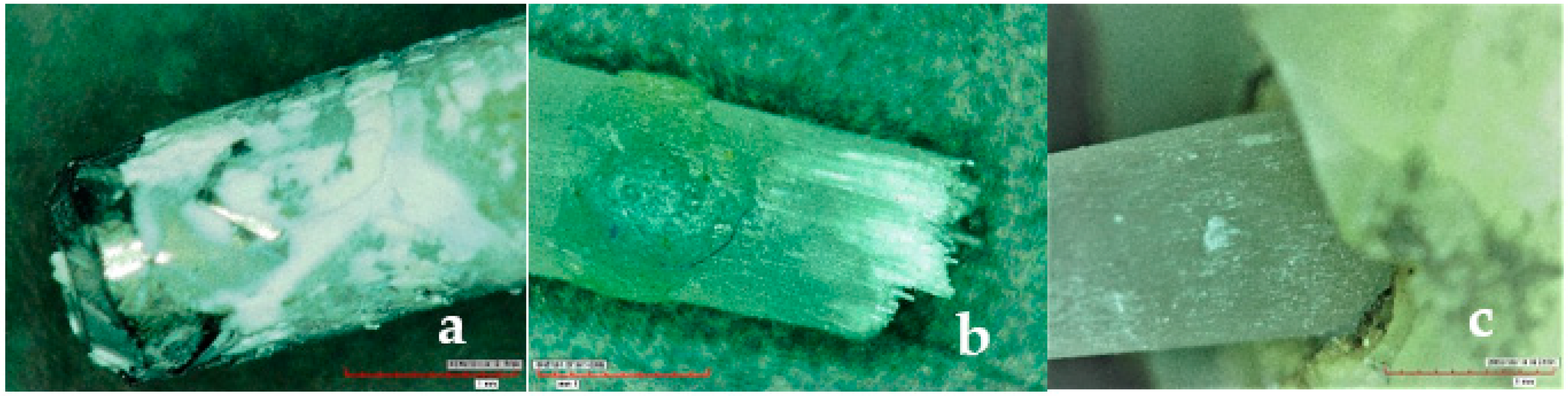 Polymers 13 03082 g005